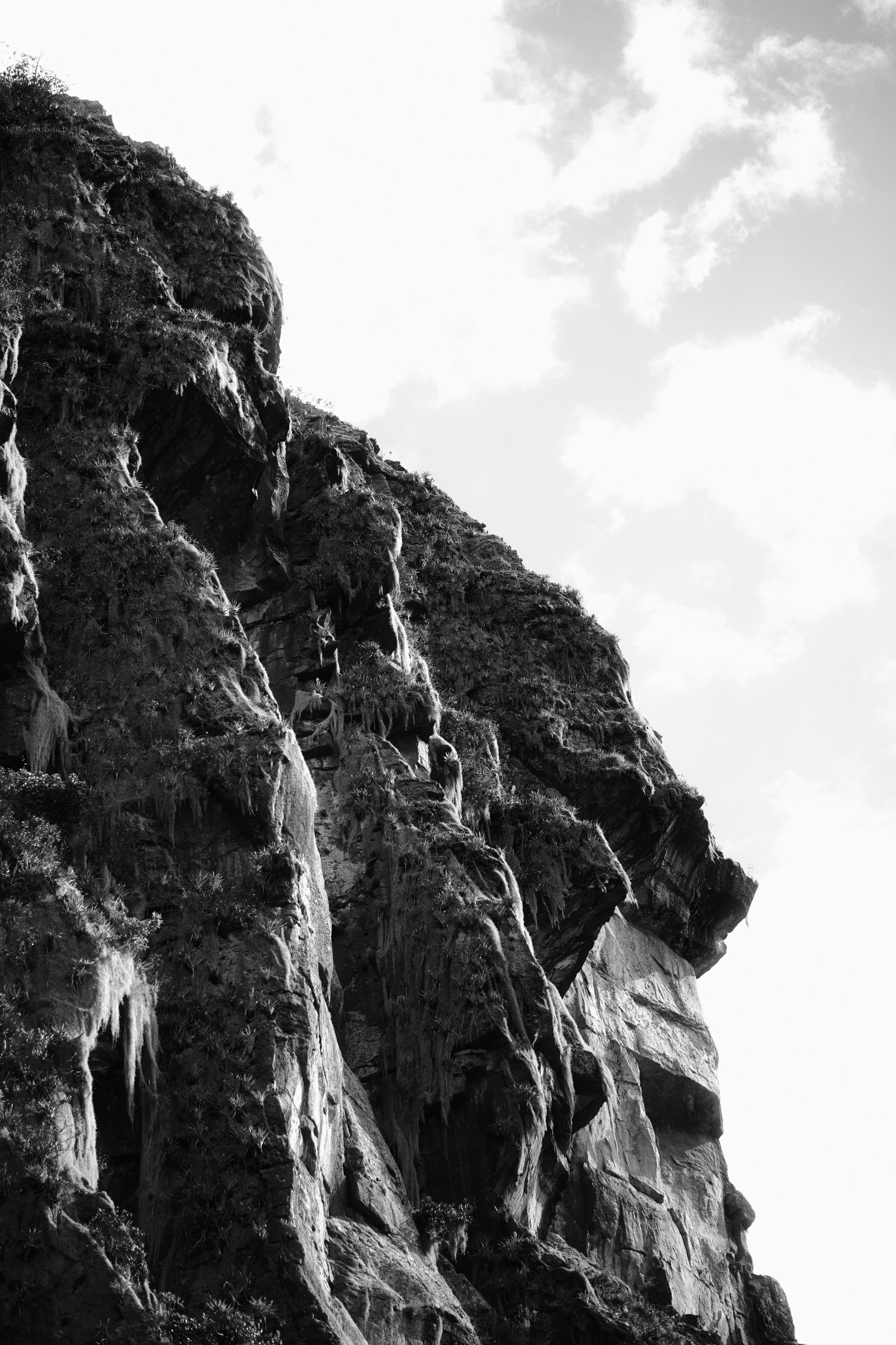 A steep rocky cliff face with sparse vegetation against a bright sky