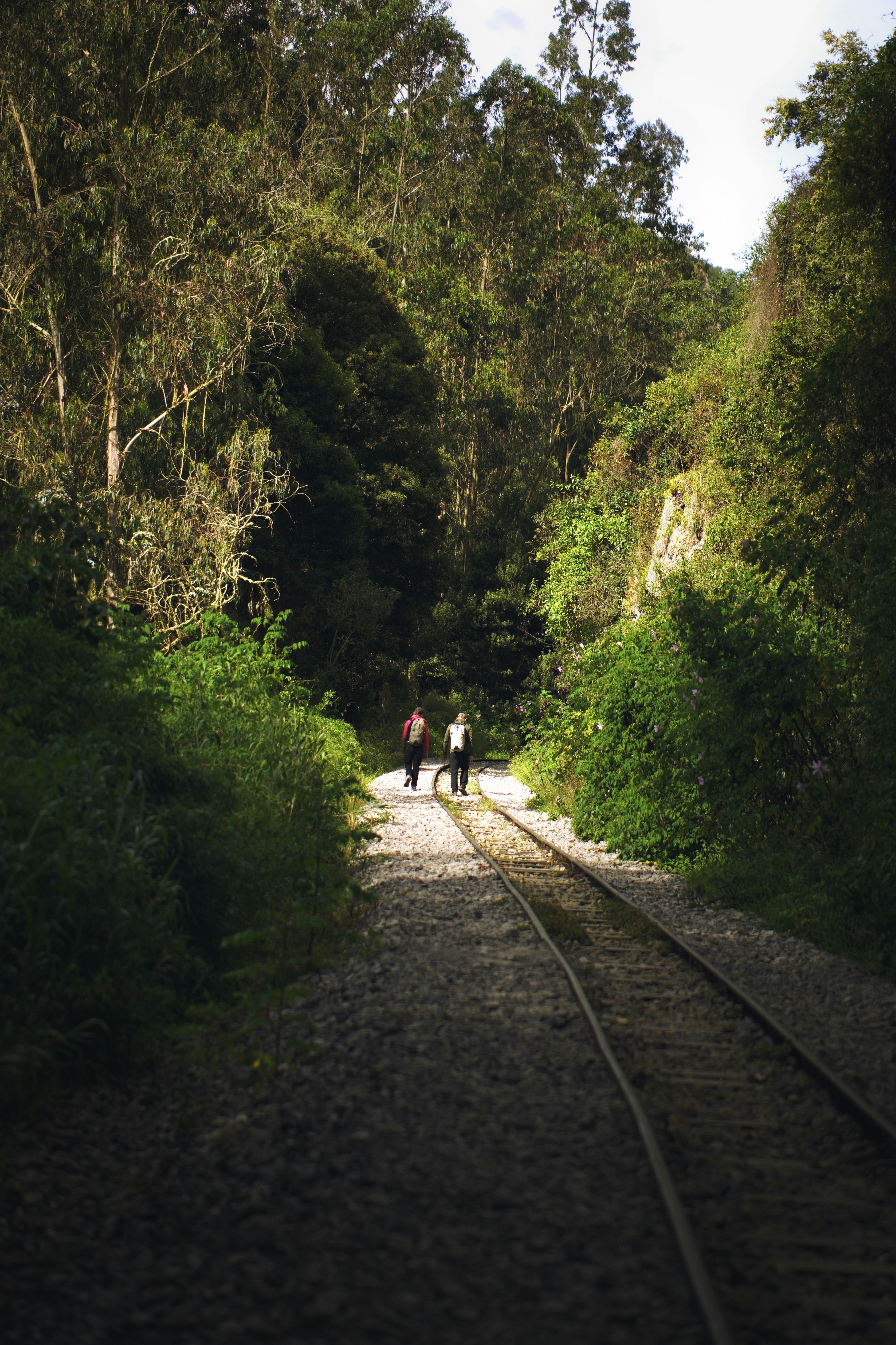 Two people walking along railway tracks through a dense green forest
