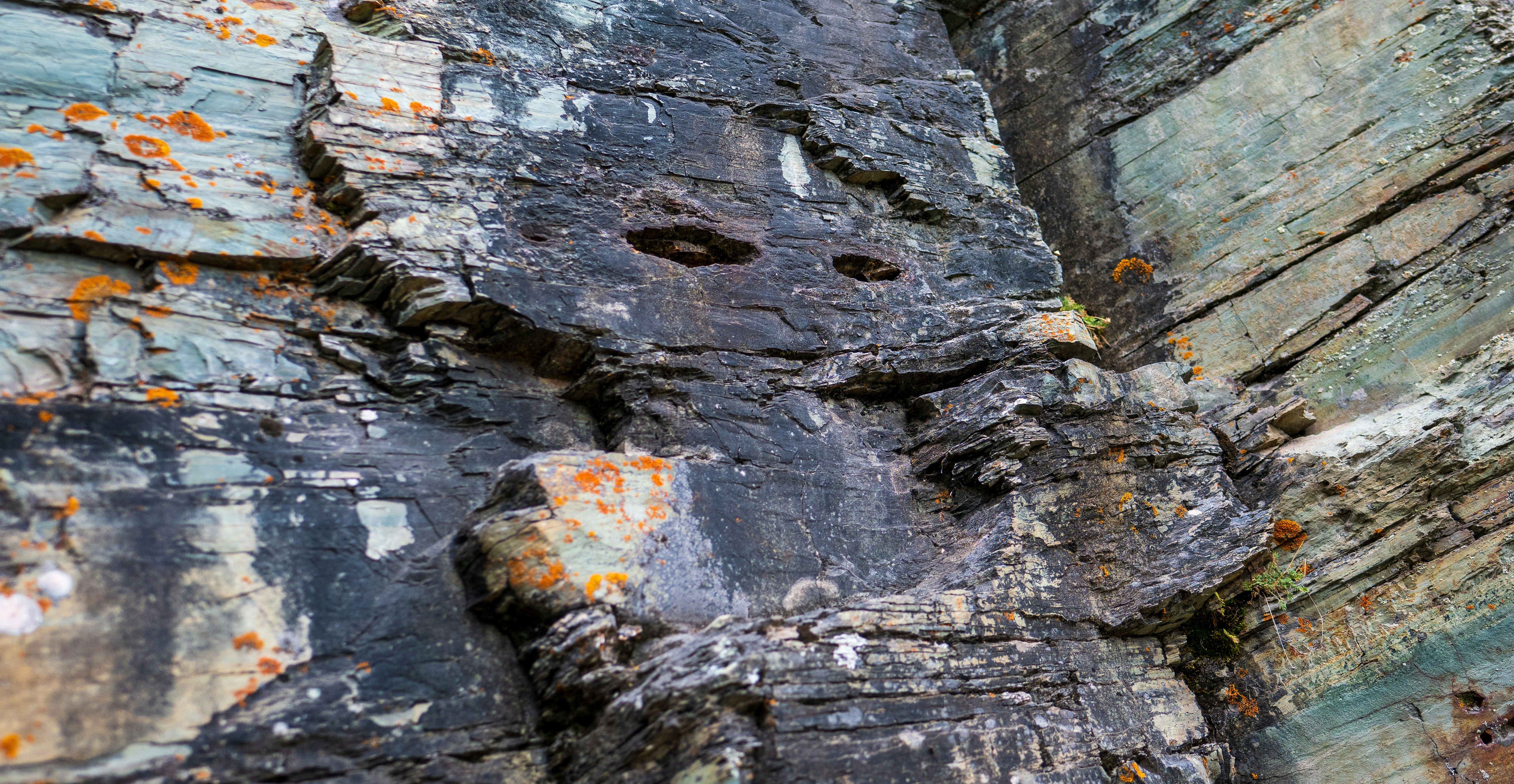 Layered dark grey rock face with patches of bright orange lichen