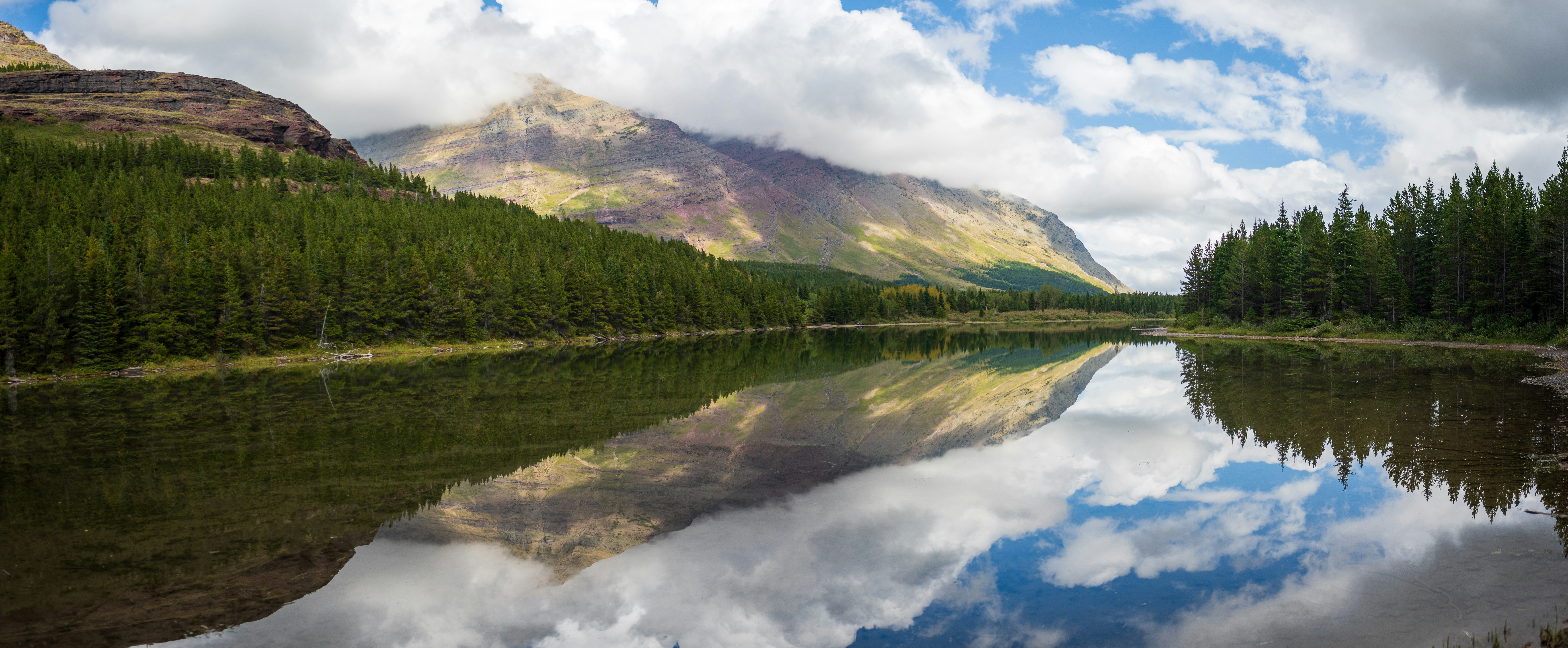 A mountain reflected in a calm lake surrounded by a dense pine forest