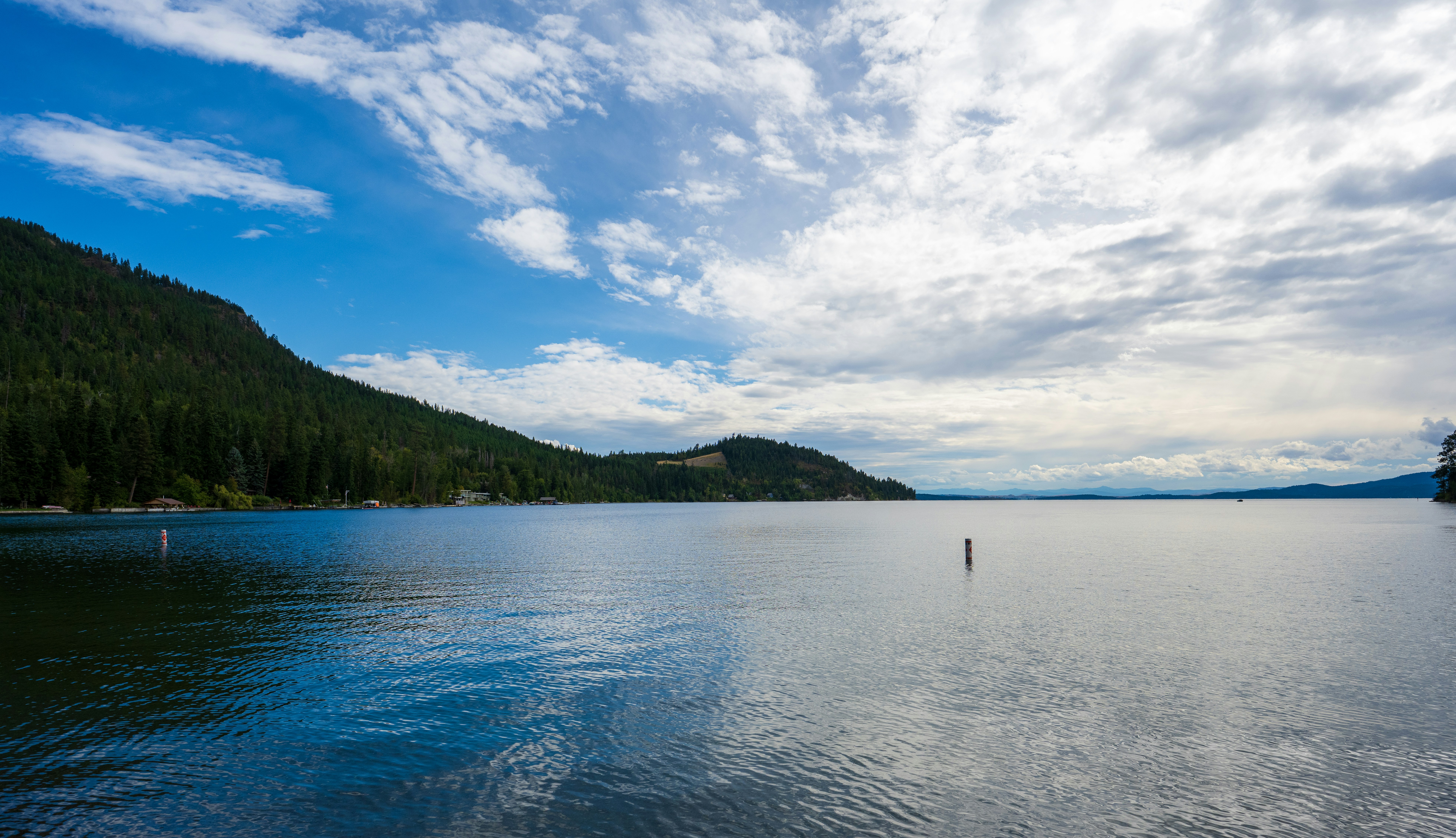 A calm lake reflecting a blue sky with white clouds beside a forested mountain
