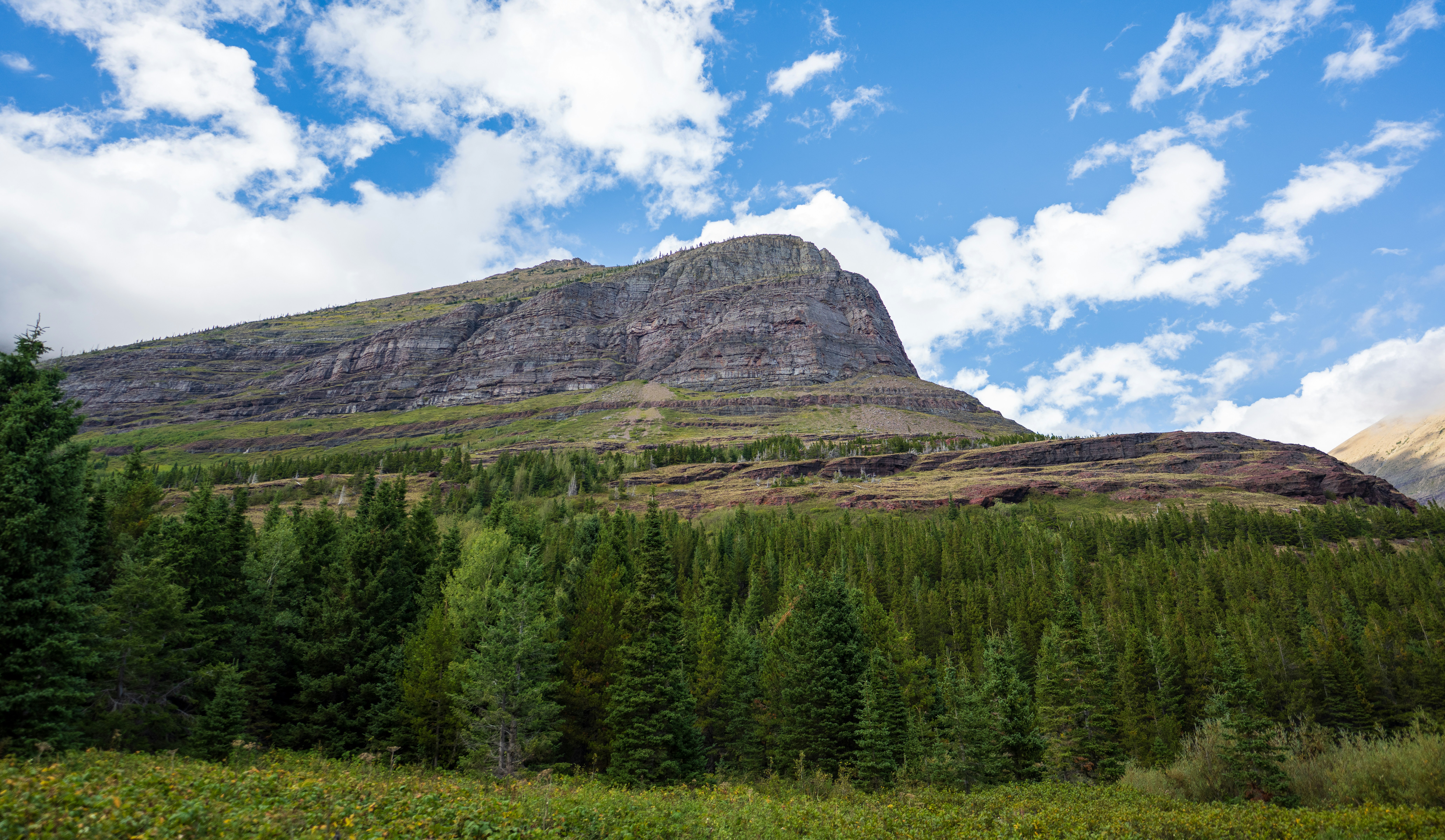 A rocky mountain peak rising above a dense evergreen forest under a blue sky