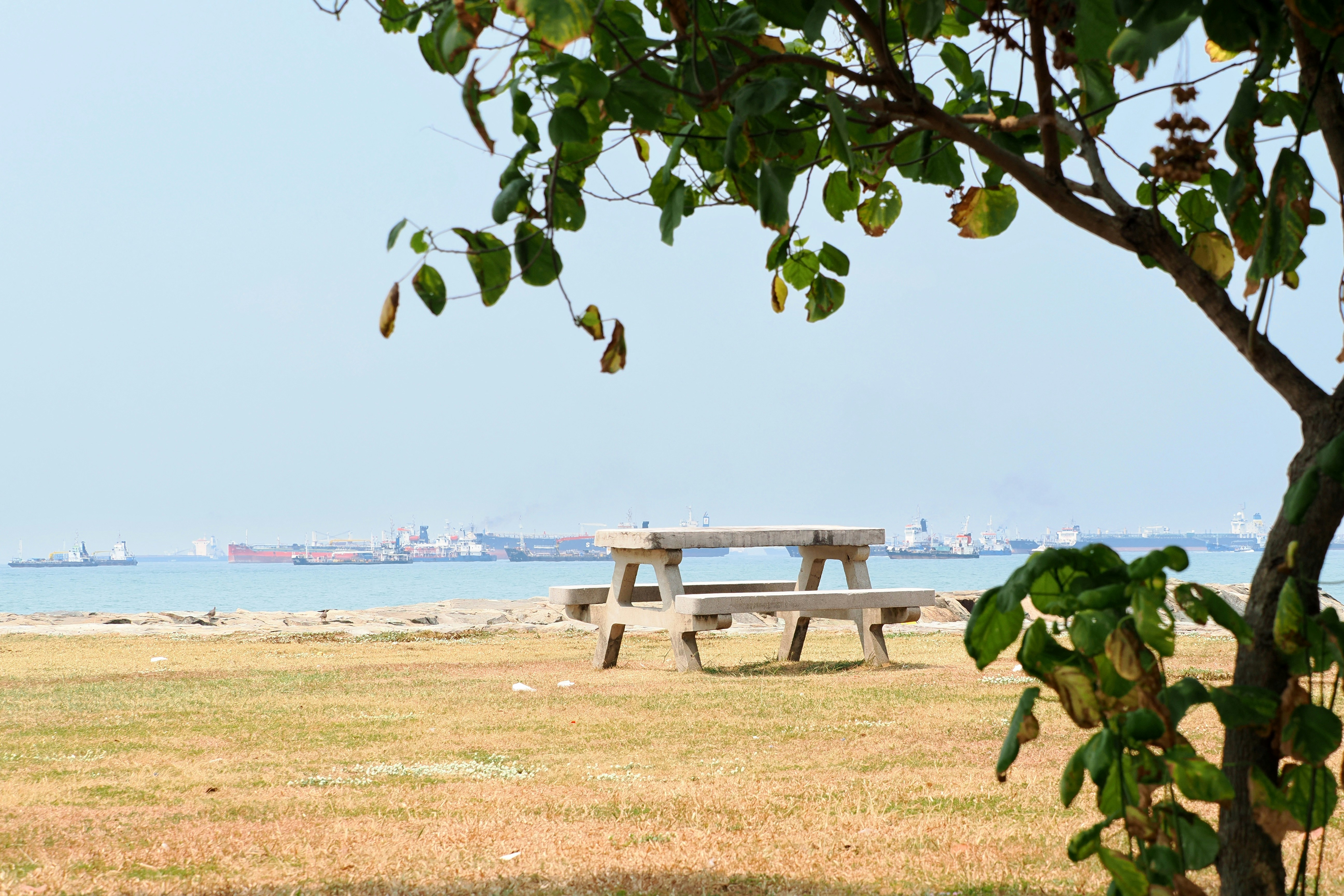 Concrete picnic table on a grassy foreshore