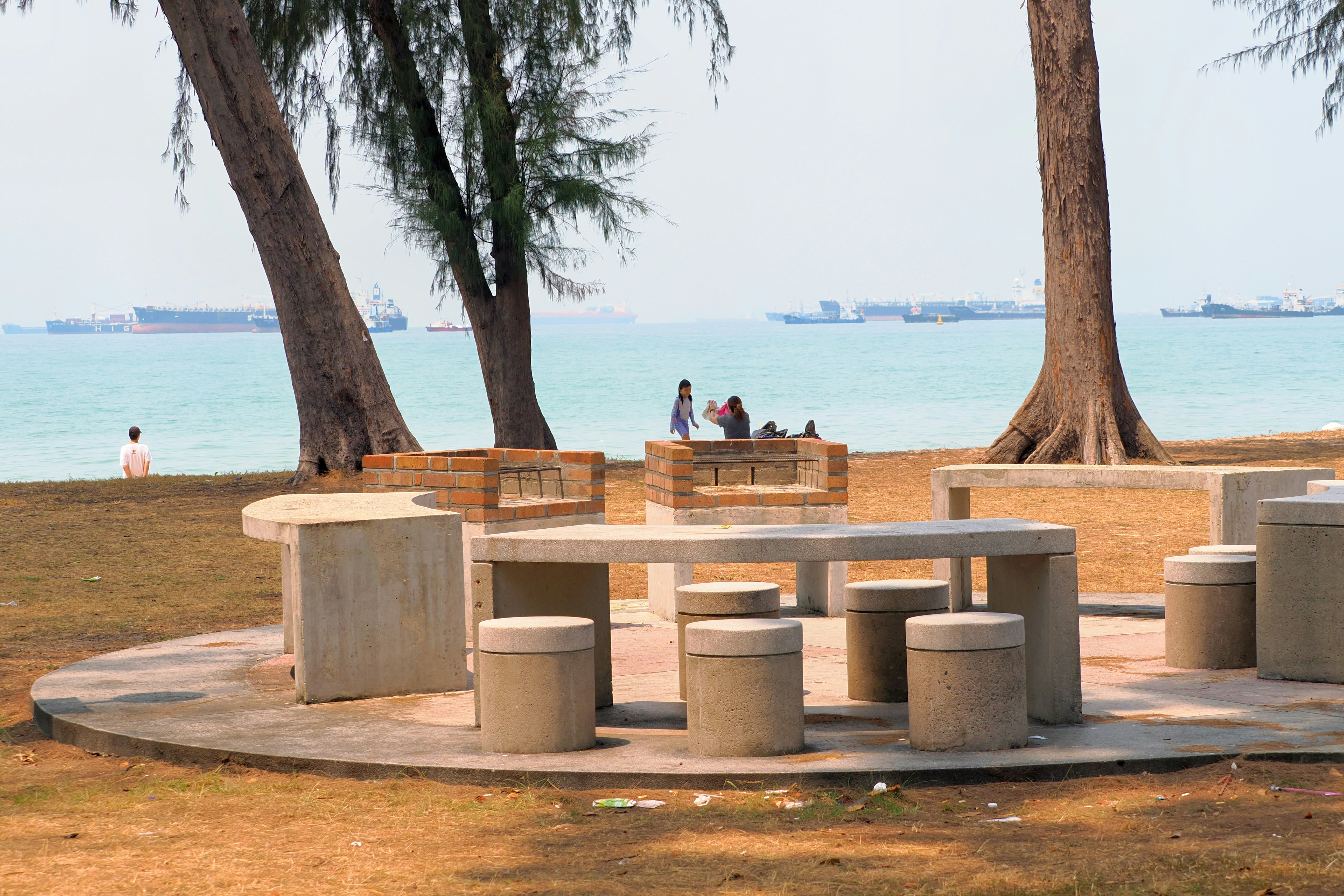Concrete picnic tables and stools near tall trees on a beach with cargo ships