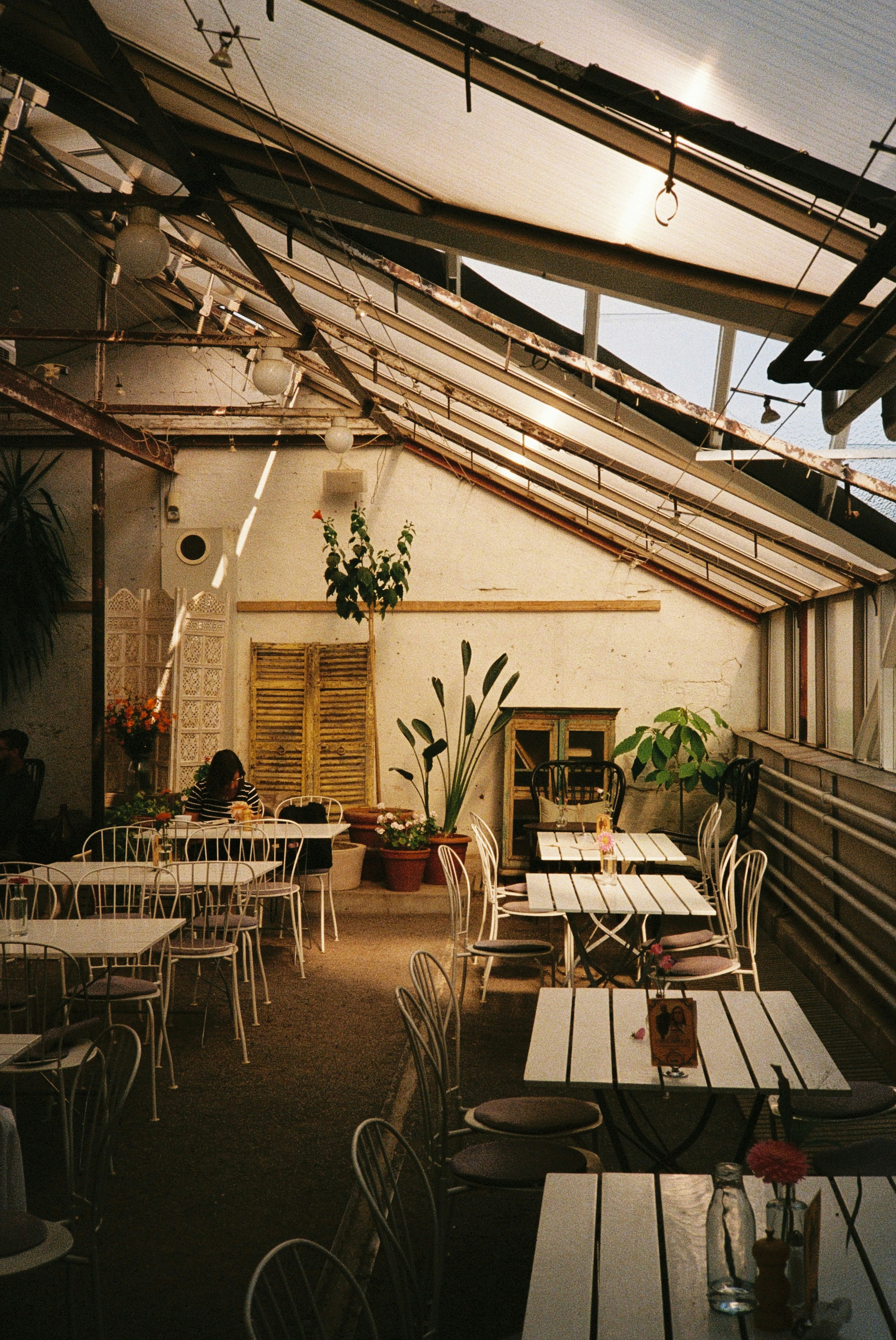 A person sitting at a table in a sunlit greenhouse cafe with white furniture