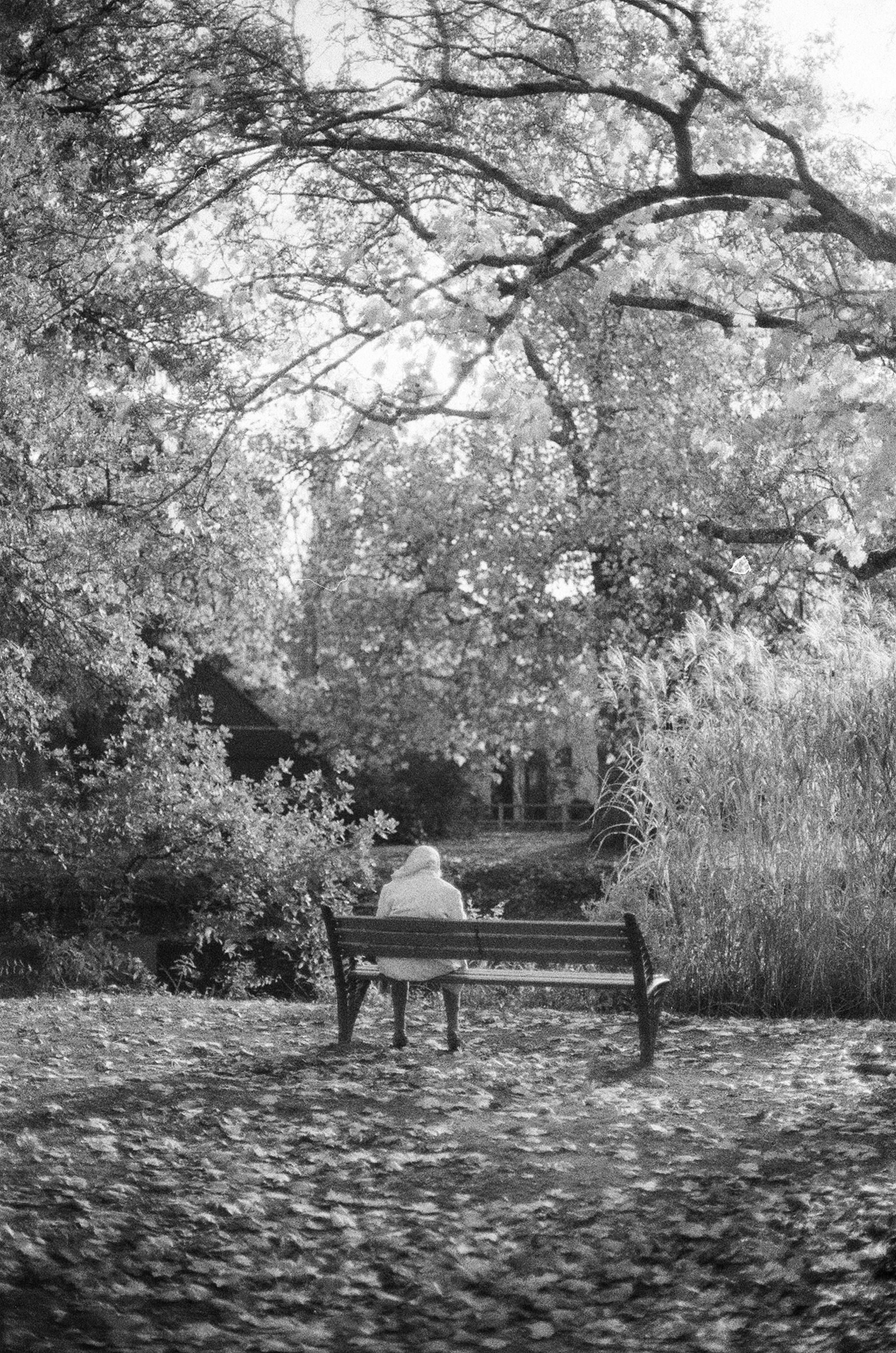 A person in a light coat on a park bench under large trees