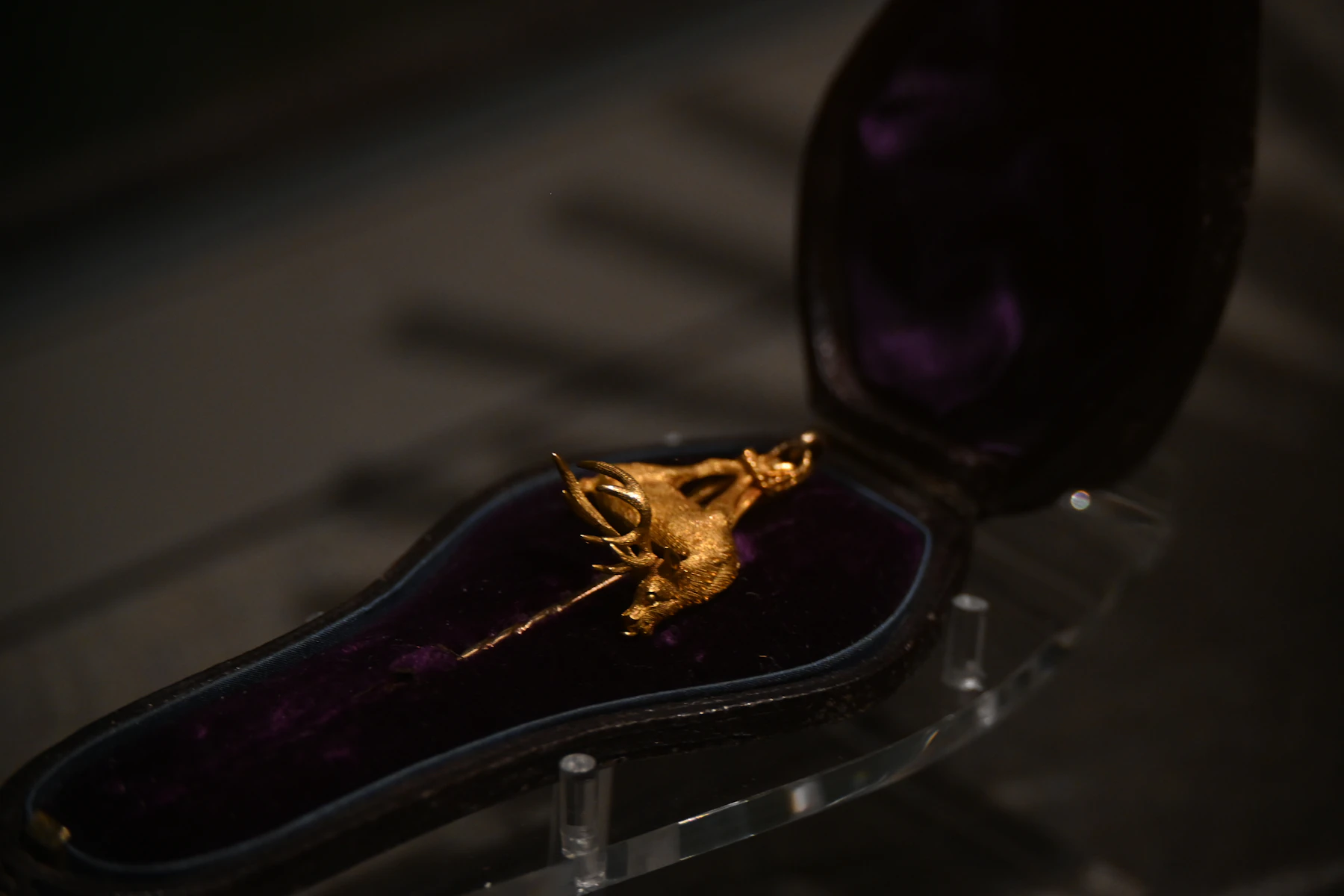 A gold stick pin shaped like a stag's head lying in its fitted leather case lined with purple velvet