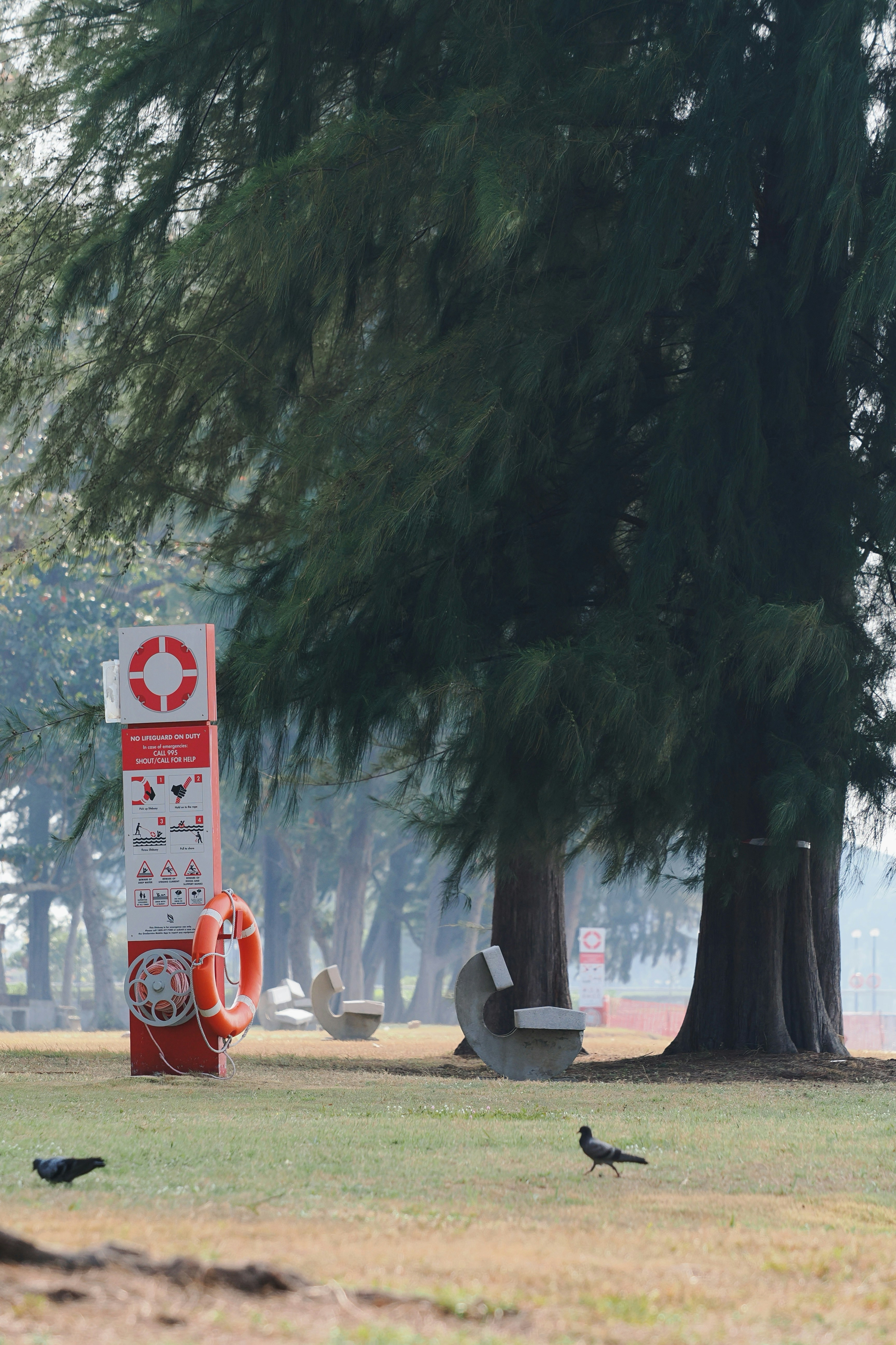 A red lifeguard station with a life ring in a park with pine trees