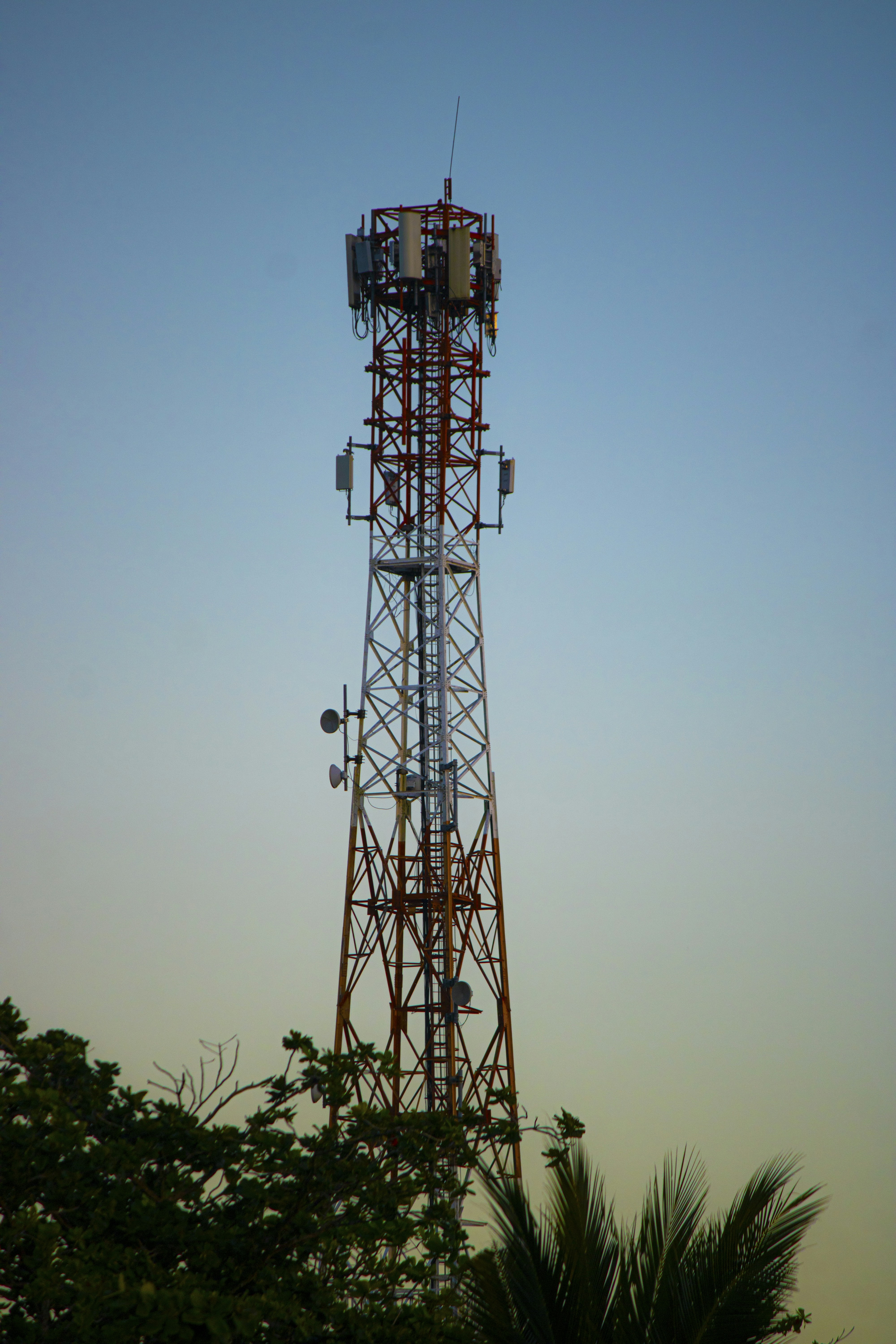 A tall metal telecommunications tower against a clear blue sky with palm fronds