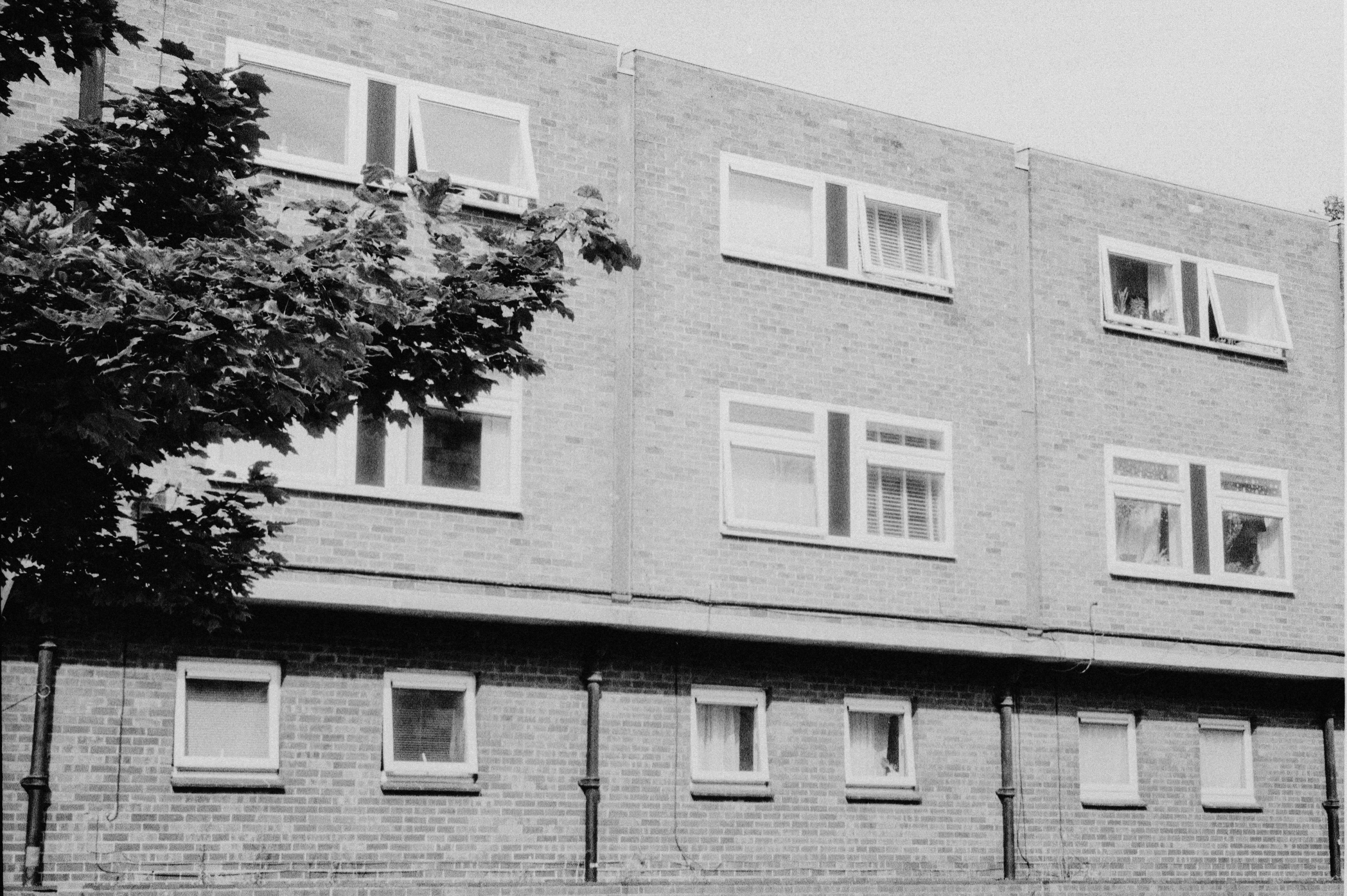 A brick apartment building with multiple windows and a tree in the foreground