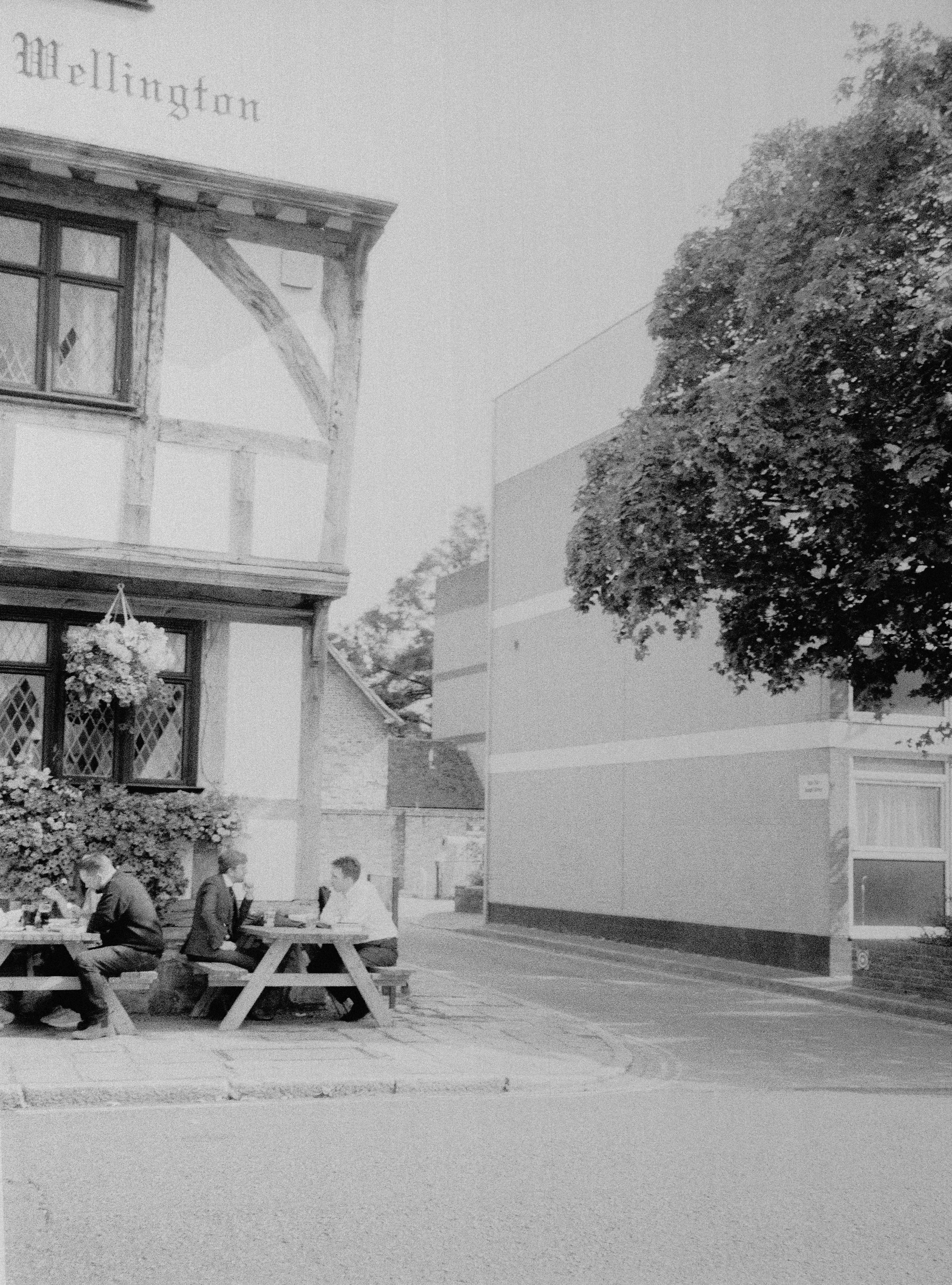 wellington image