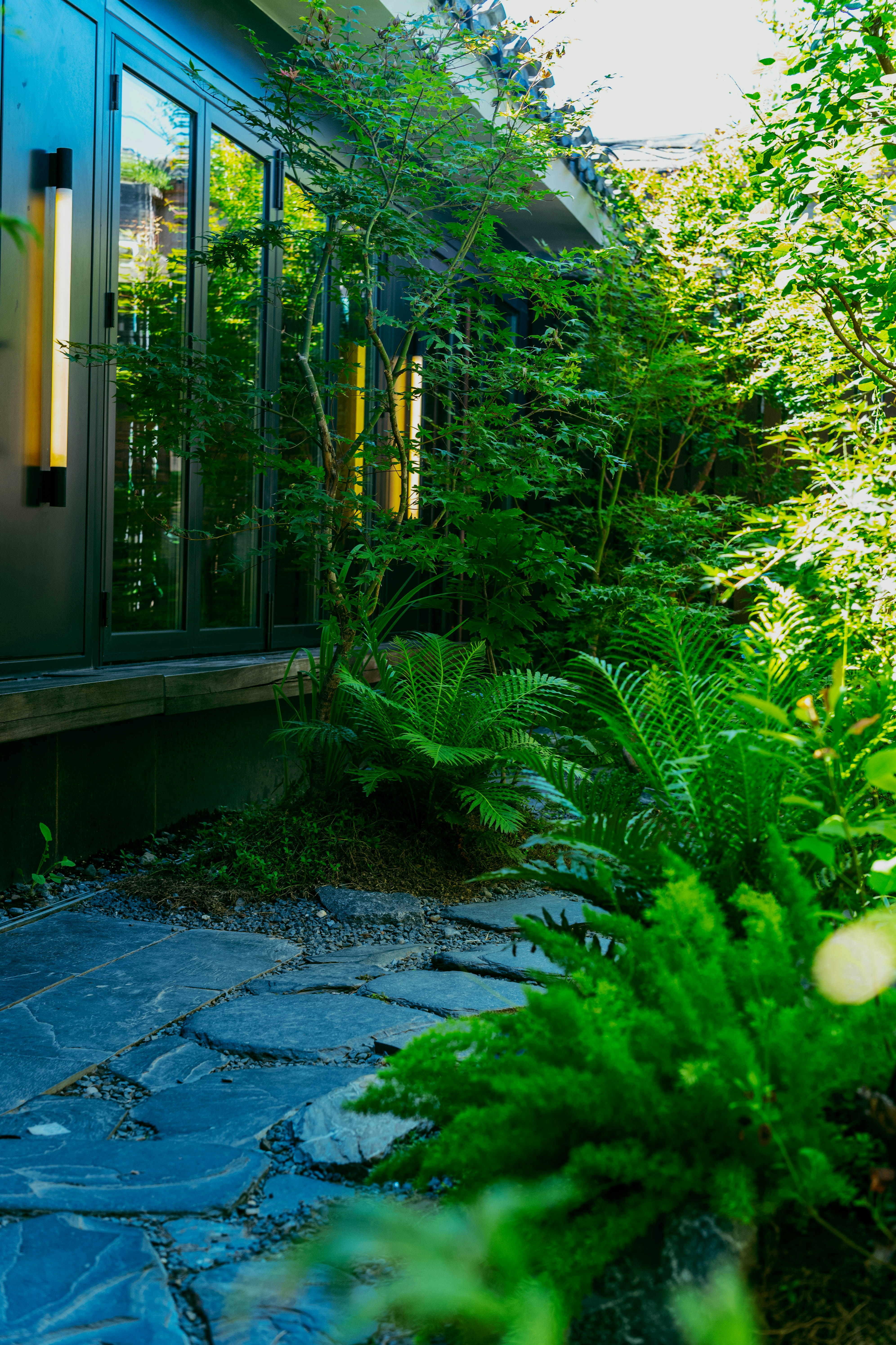 A stone path through a lush garden with ferns beside a modern building