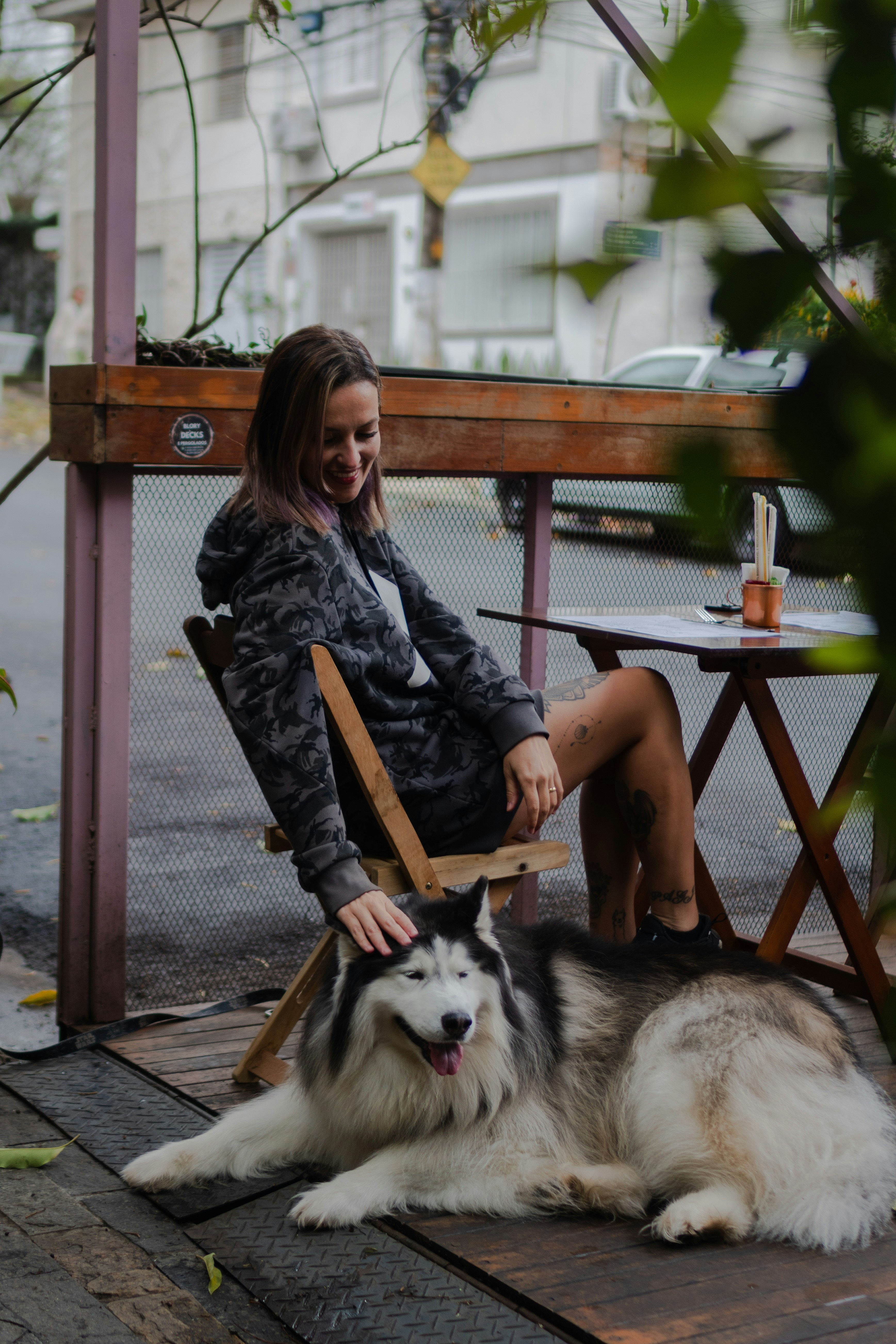 A dog relaxing at a cafe