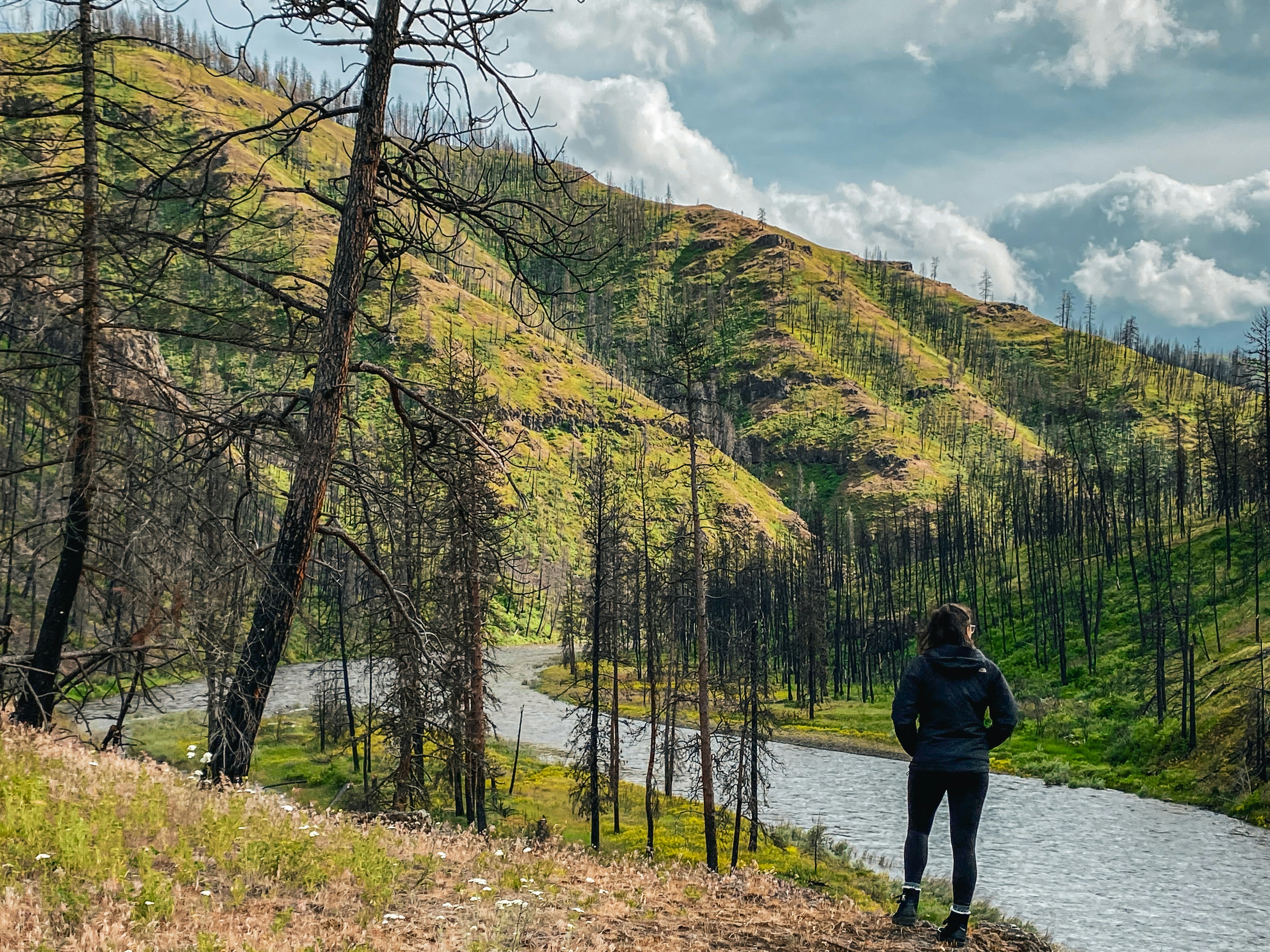 flooded riverbank mountain trail