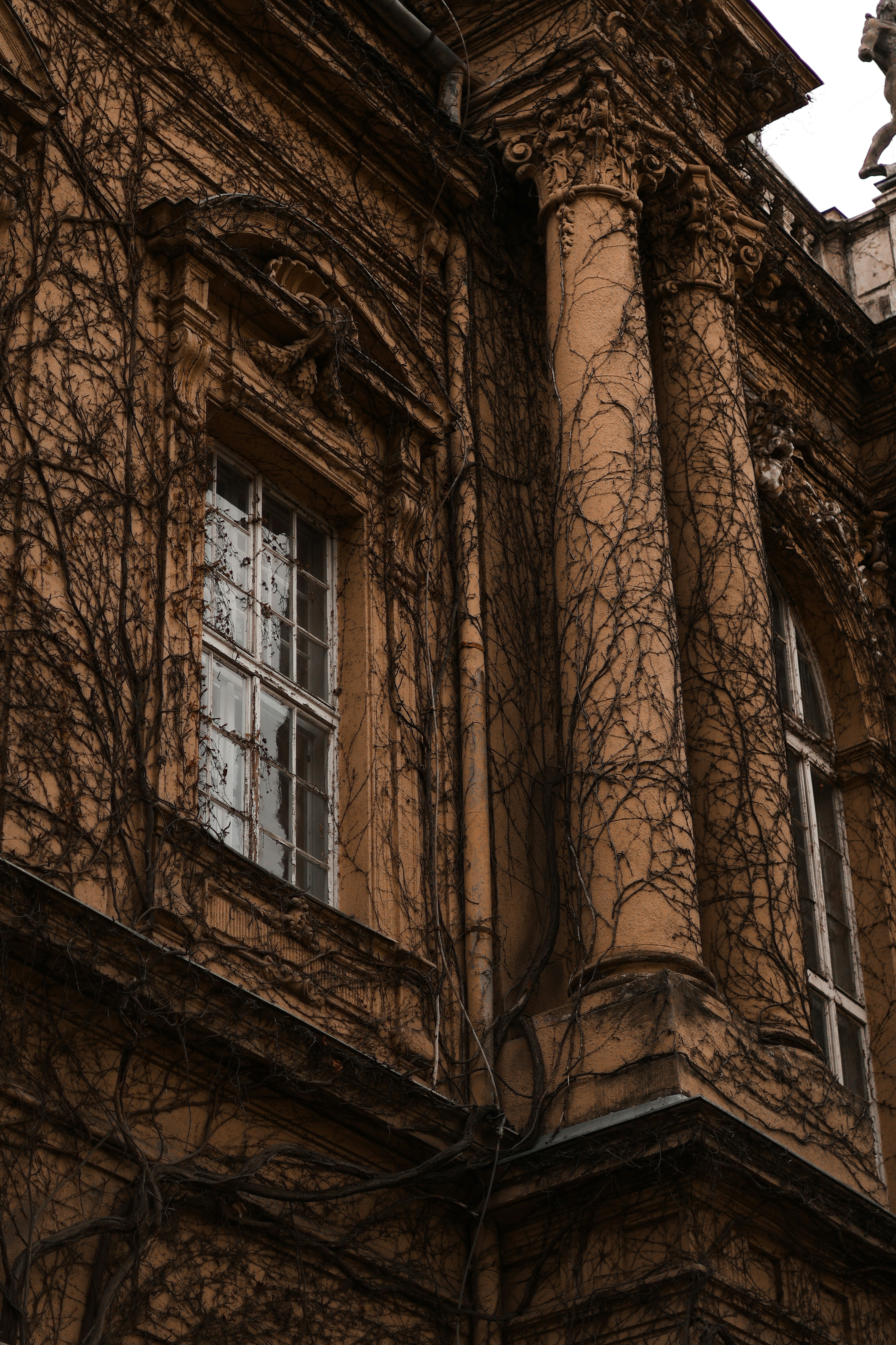 A weathered tan building facade covered in dry vines with tall arched windows