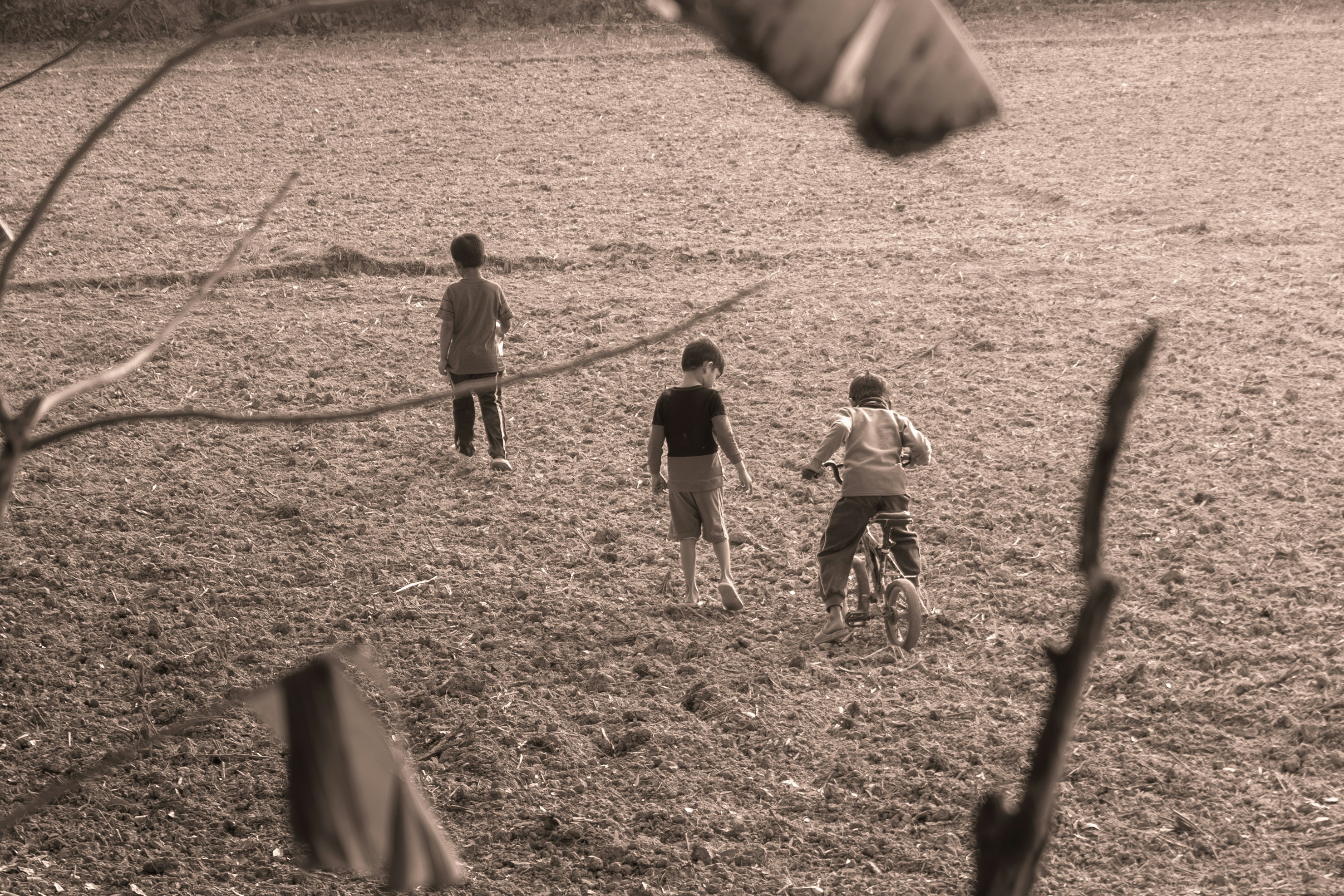 Três crianças caminhando e pedalando por um campo seco e cultivado em tom sépia