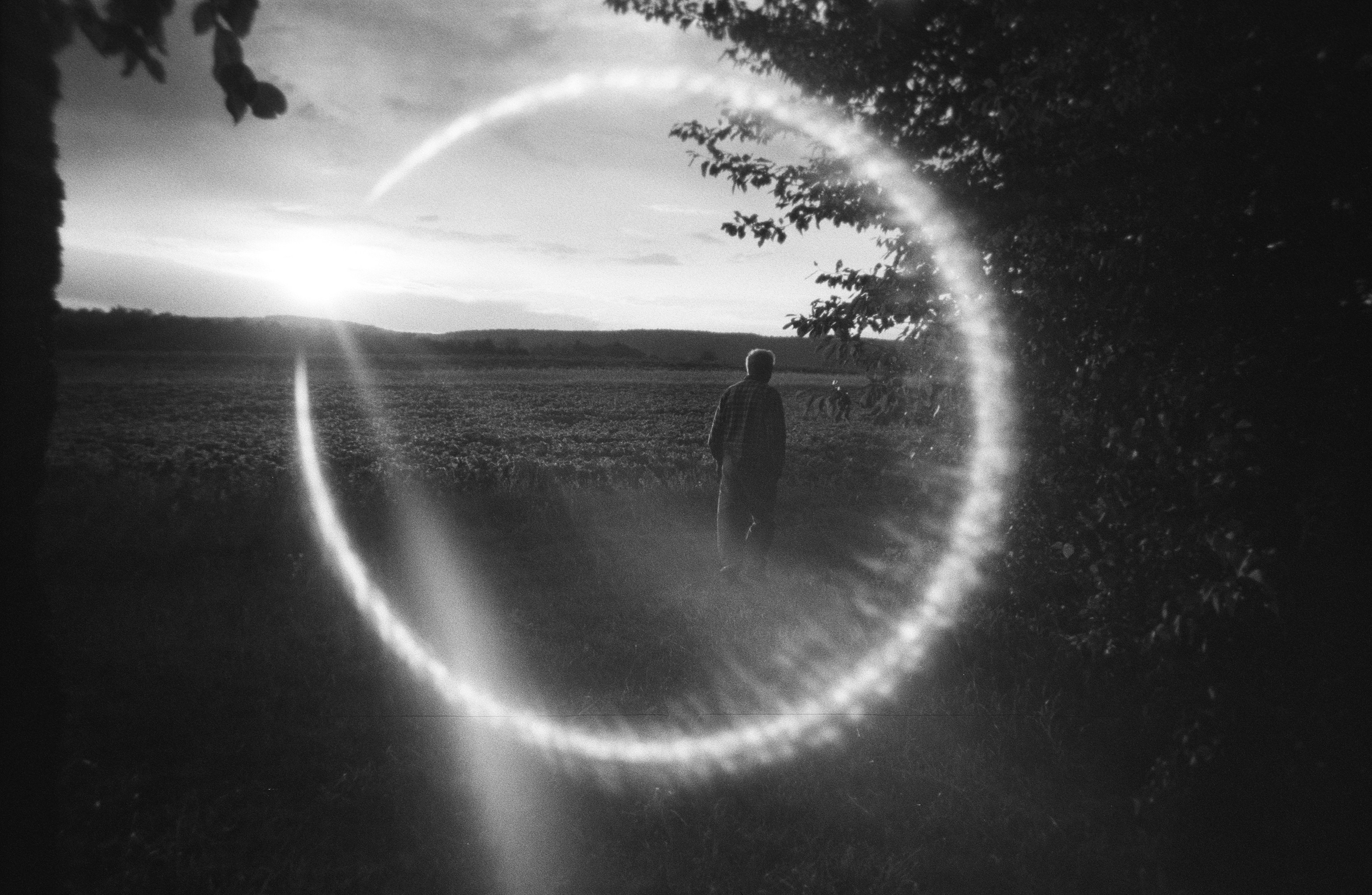 Photo of A person walking through a field toward a low sun with lens flare by Viktor Smoliak