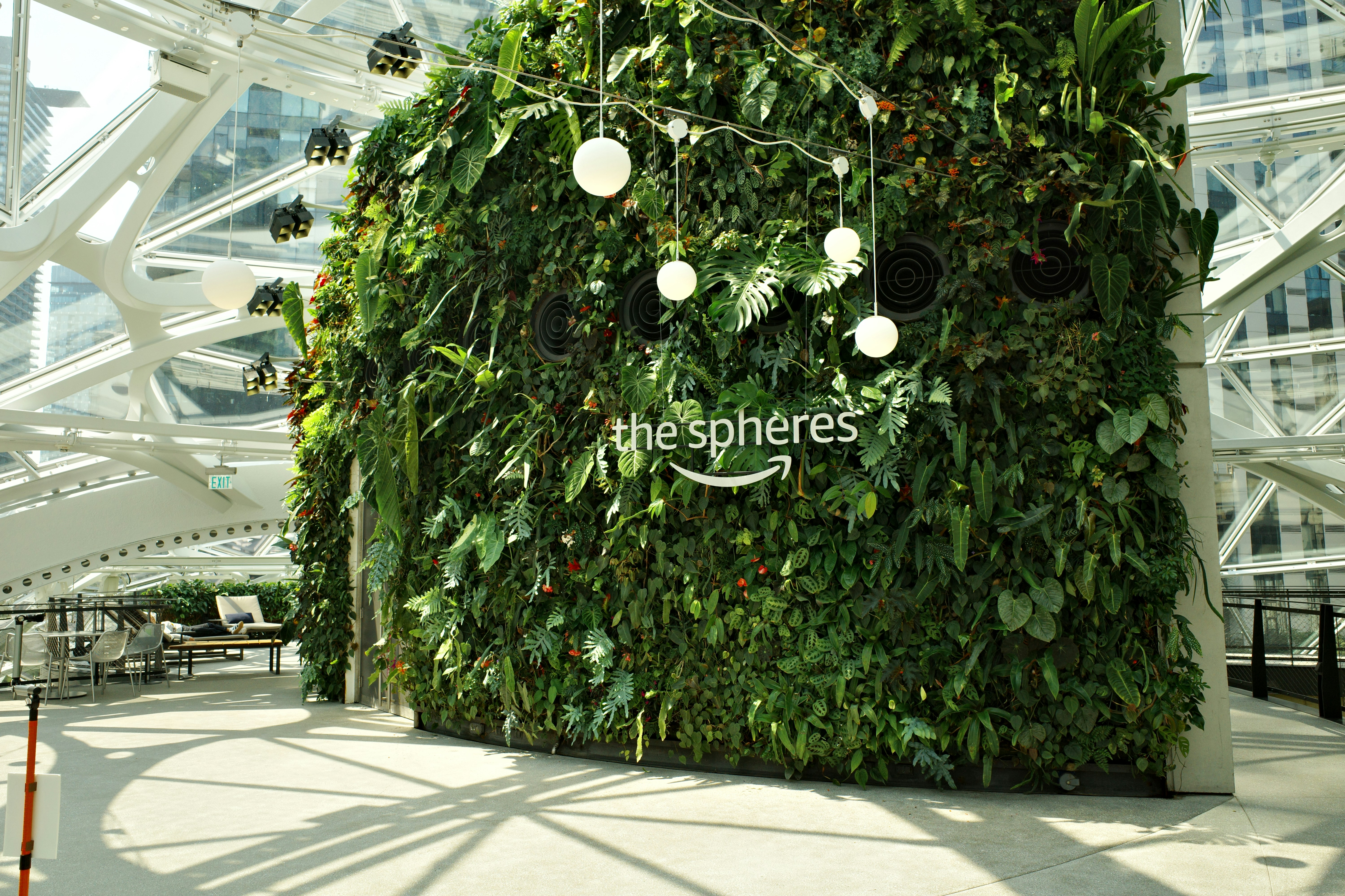 A lush vertical garden wall with hanging globe lights inside The Spheres in Seattle