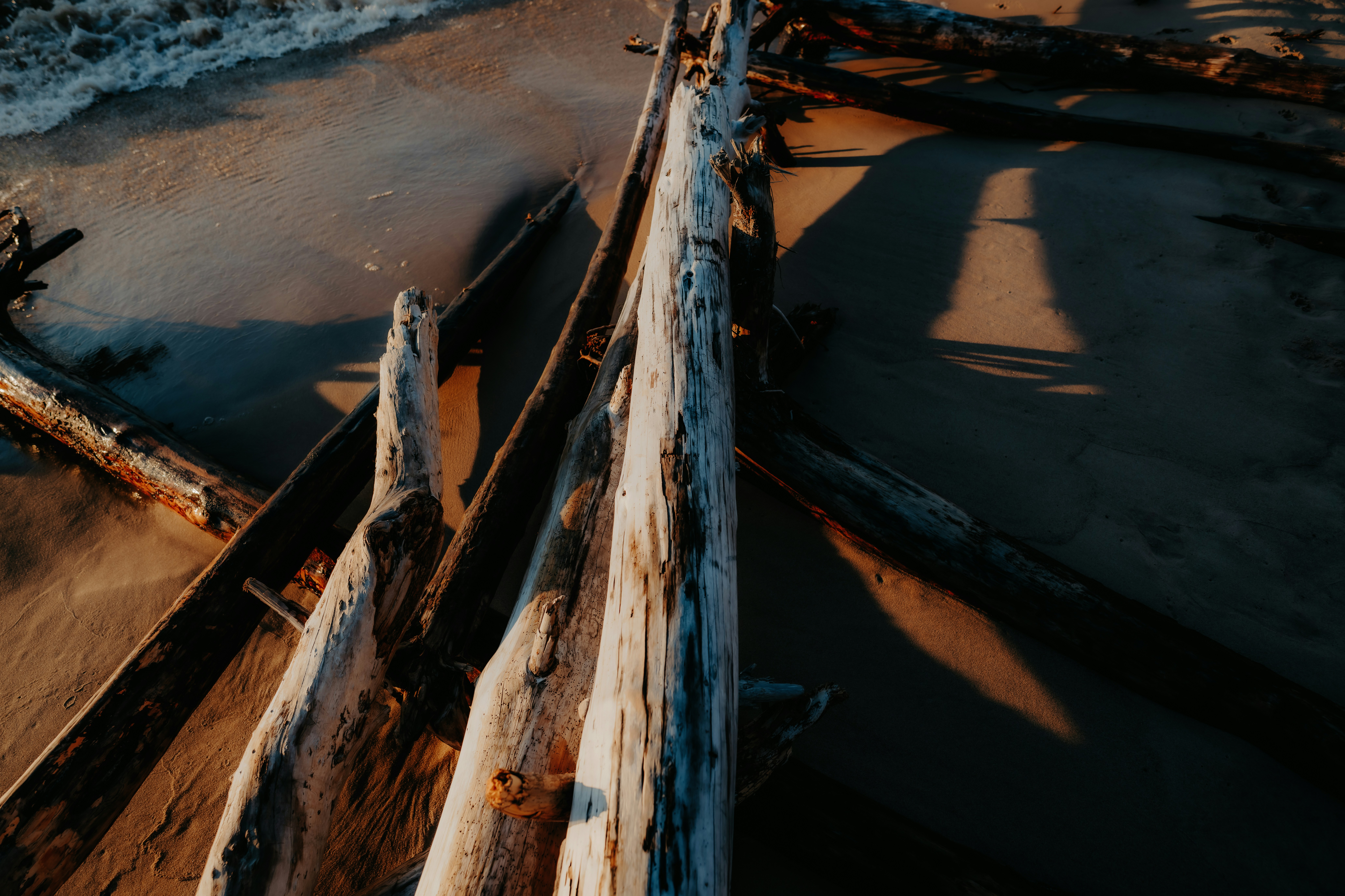 Troncos de madera a la deriva desgastados en una playa de arena bajo sol