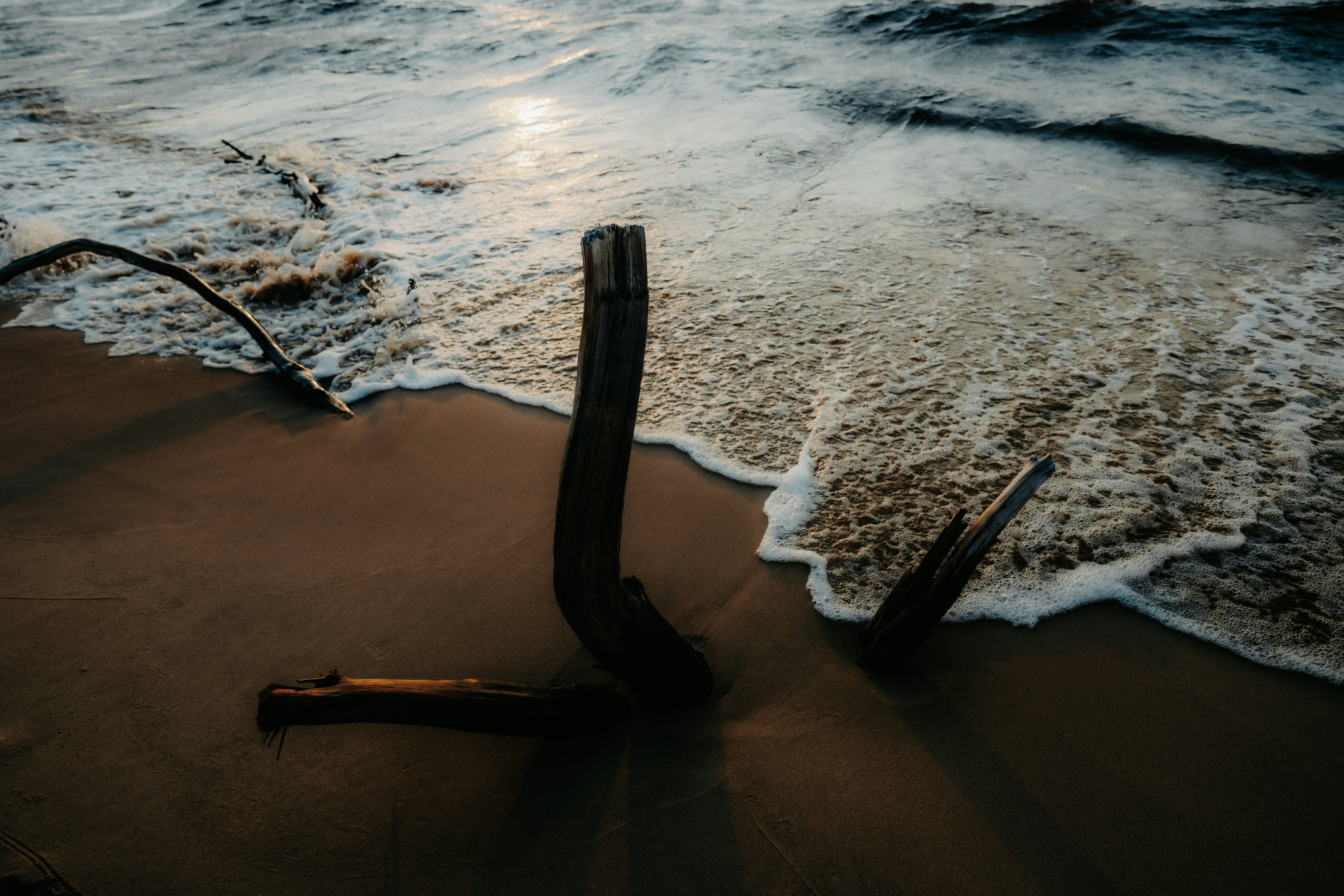 Madera a la deriva en una playa de arena con olas suaves que lavan la orilla