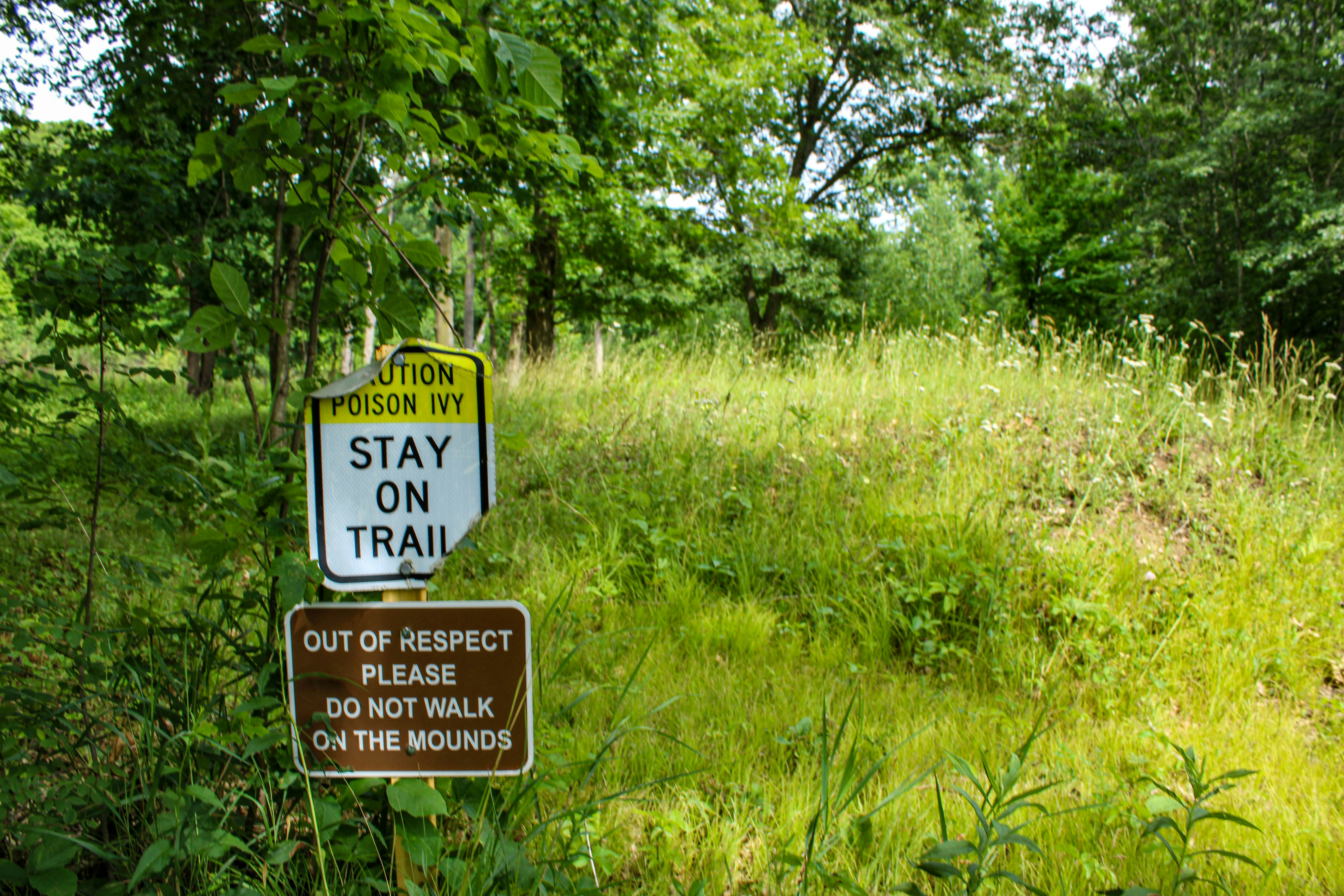 Poison ivy and mound signs