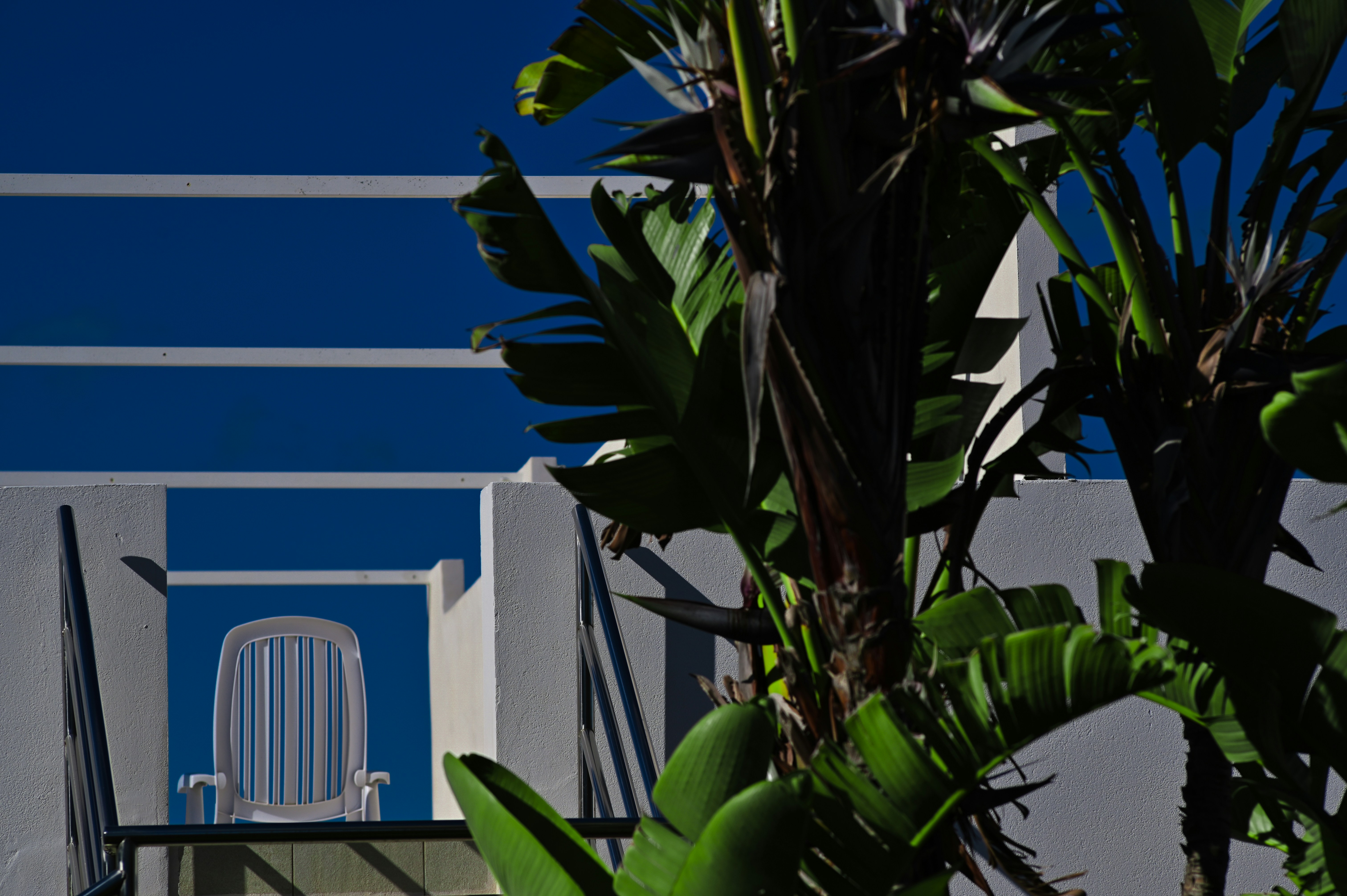 A white plastic chair on a balcony beside large green bird of paradise leaves