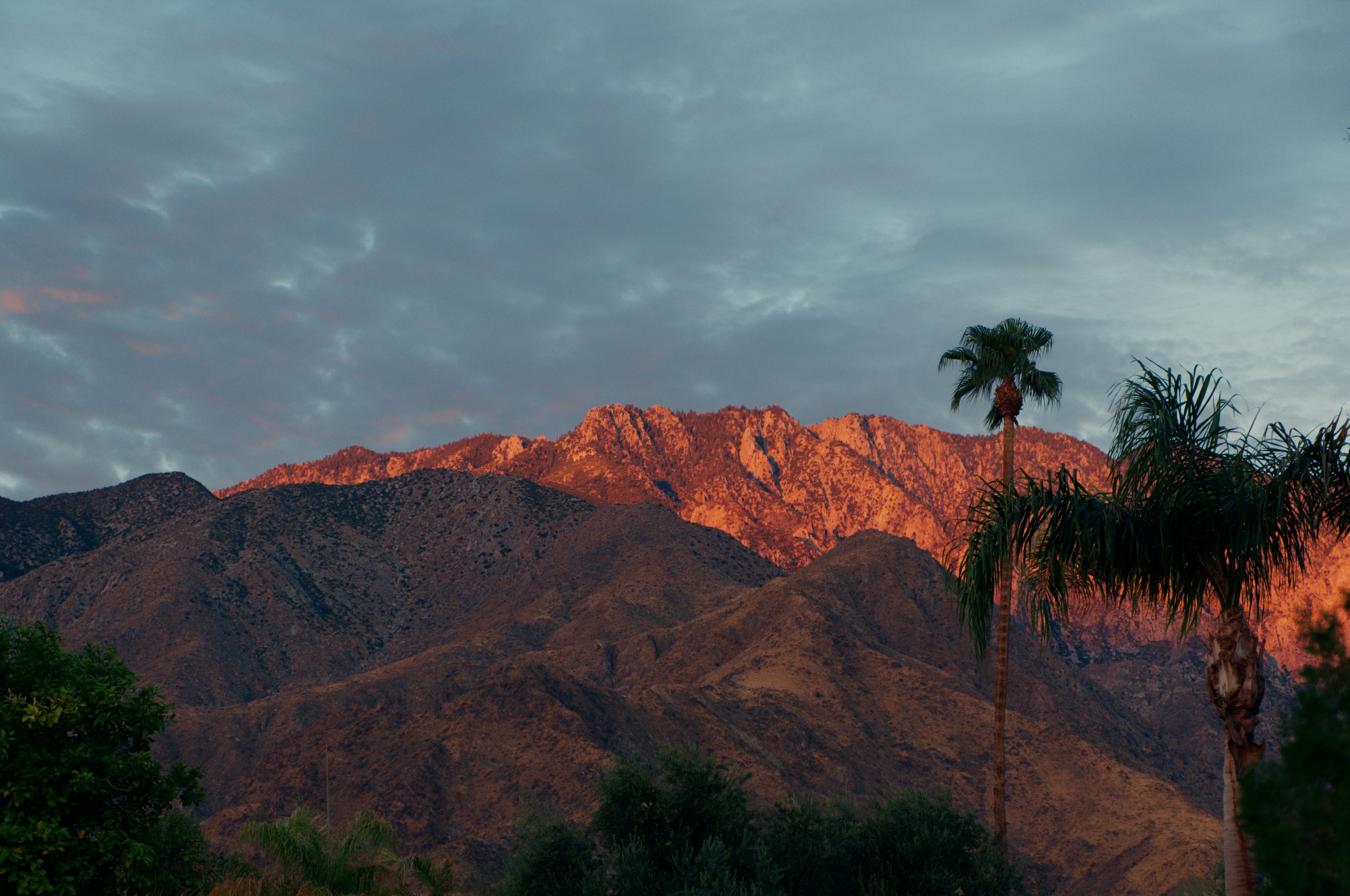 A sunrise illuminates the rugged peaks of Mount San Jacinto above Palm Springs, framed by desert palms.
