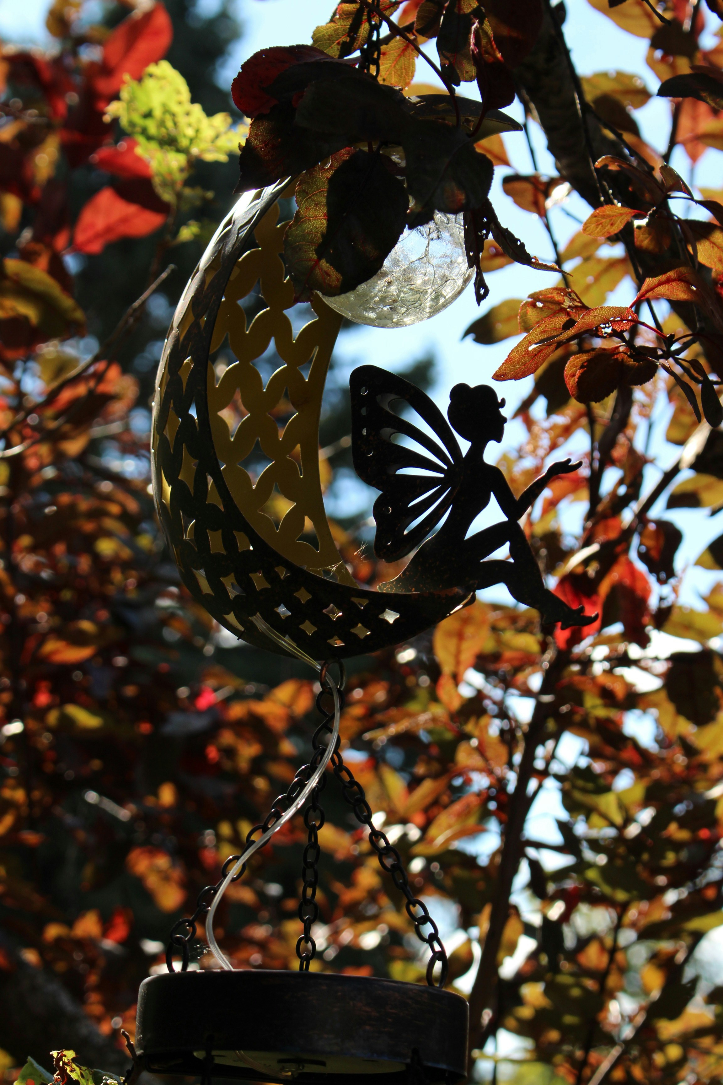 unnamed image