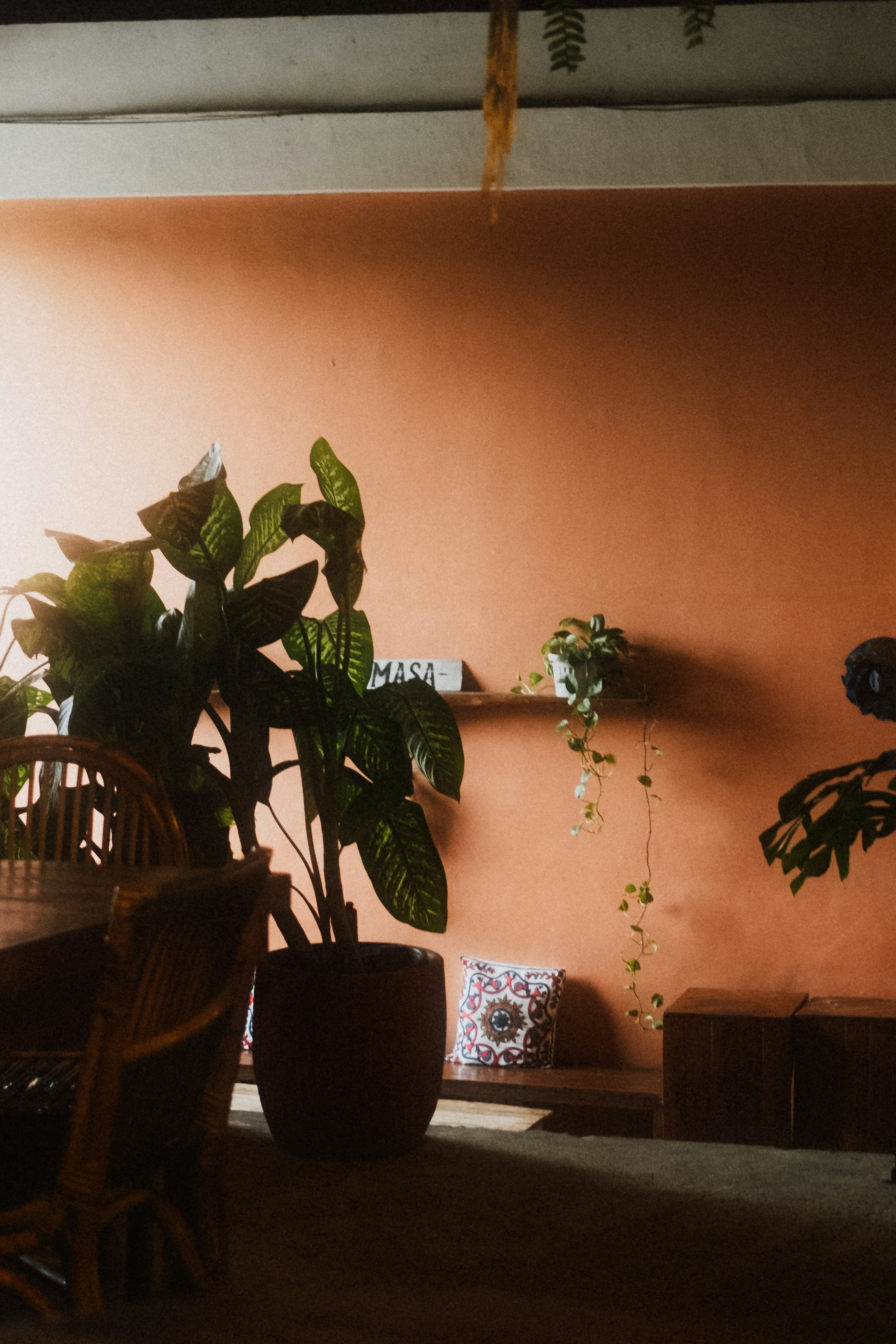 terracotta studio apartment interior, wallpaper, Terracotta Studio Apartment Furniture Arrangement Guide 2