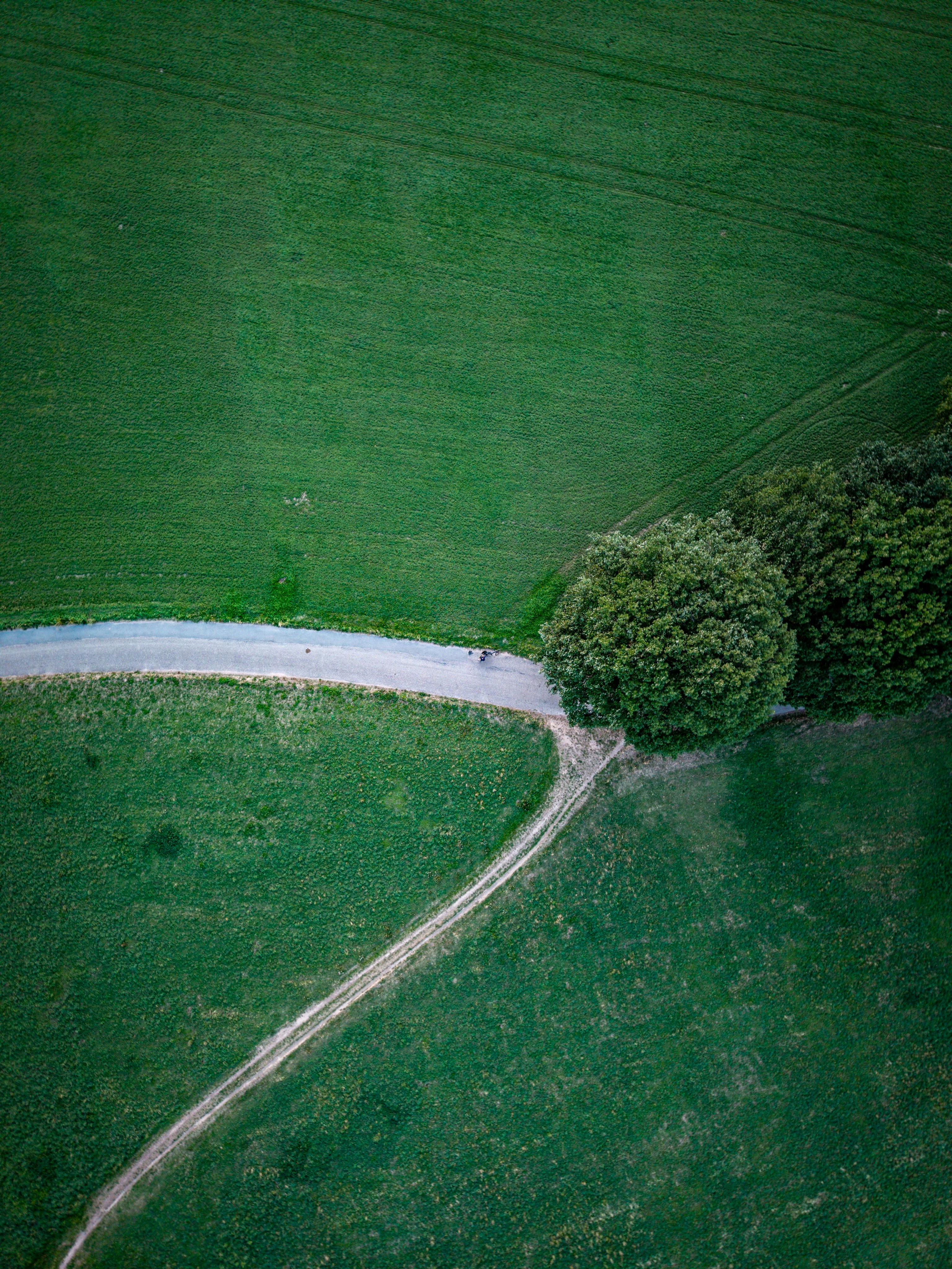 An aerial view of a curved road through green fields with trees