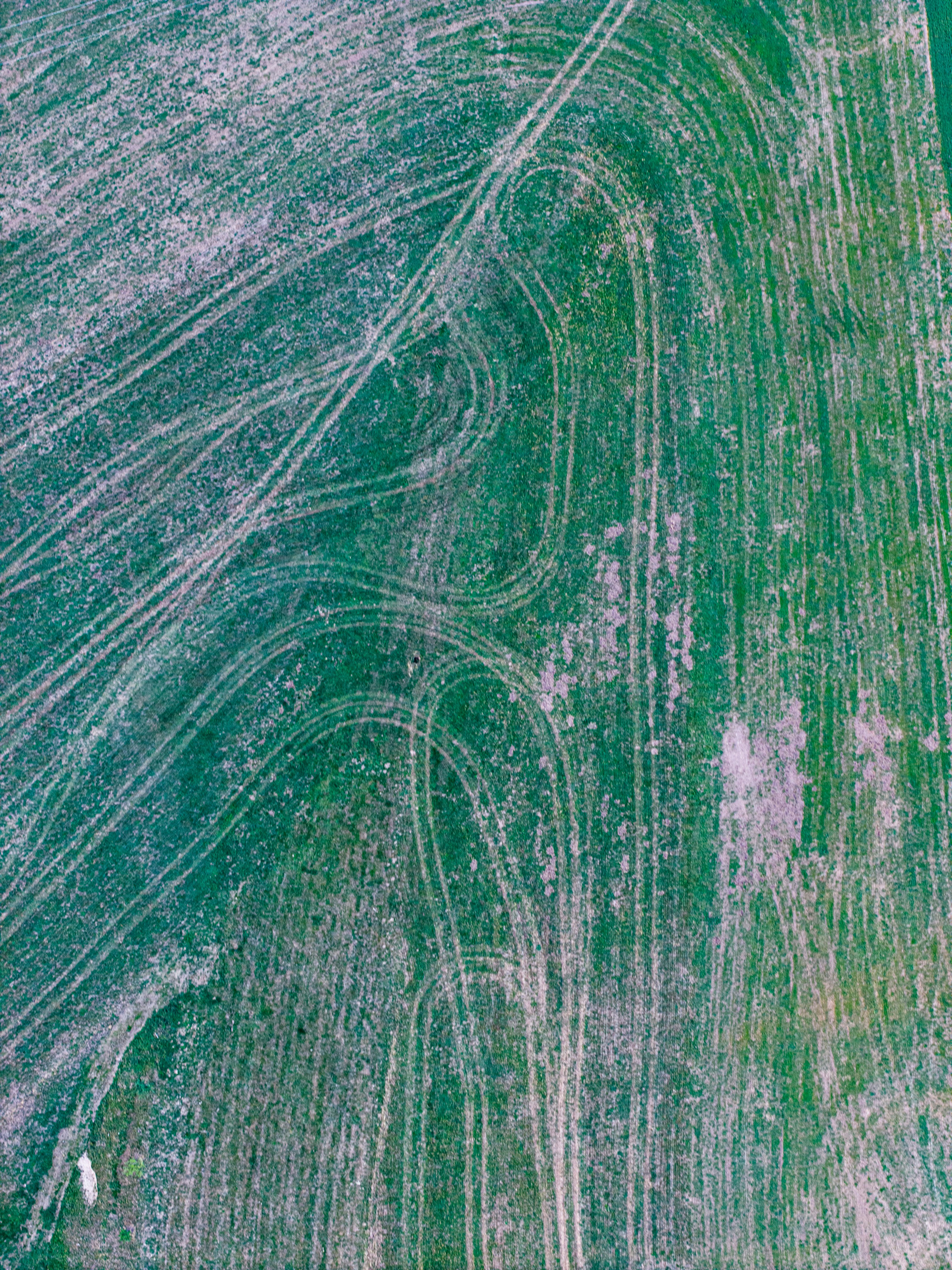 An aerial view of tire tracks curving through a vibrant green field
