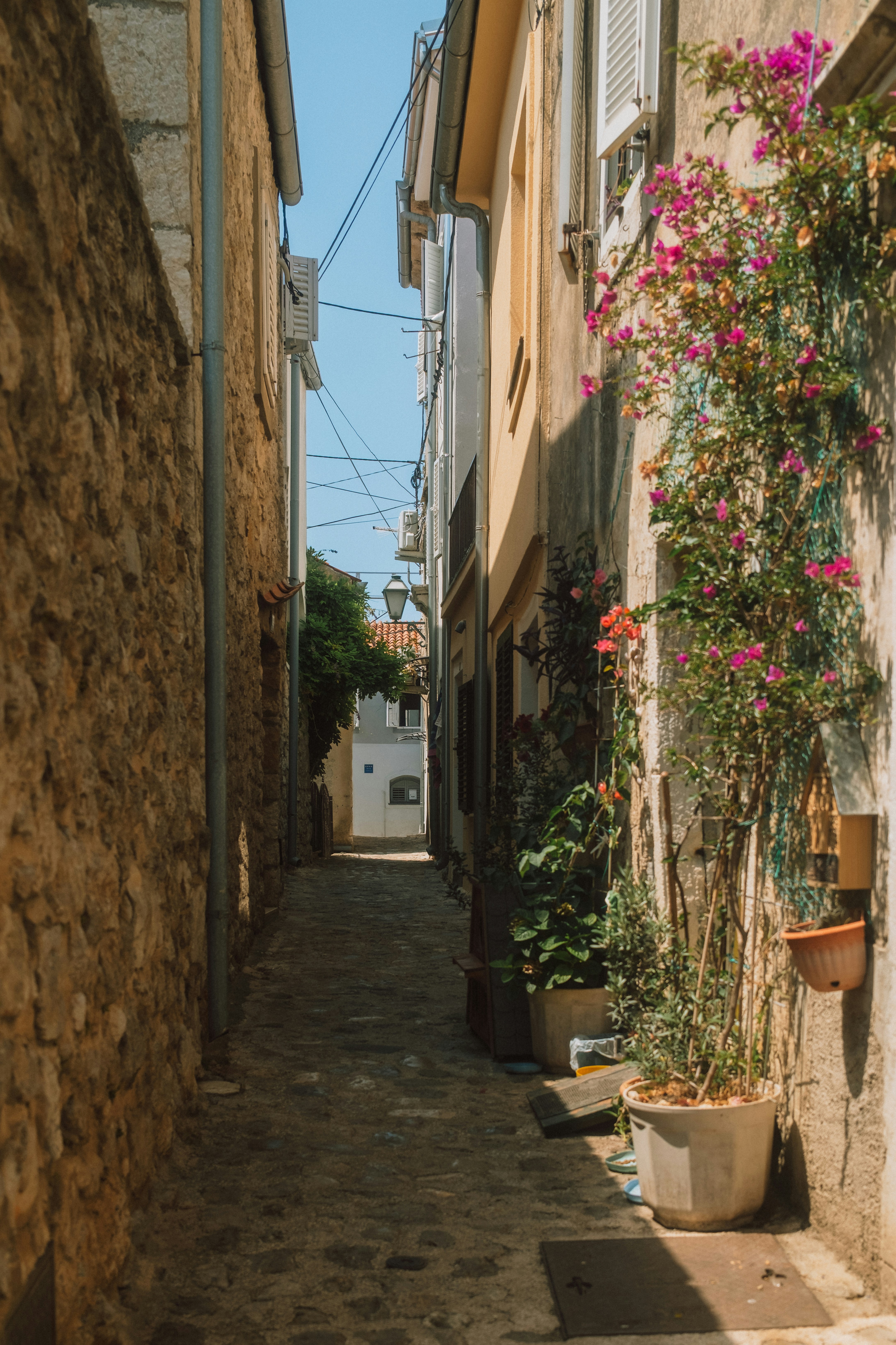 A narrow stone alleyway between old buildings with potted plants and blooming flowers