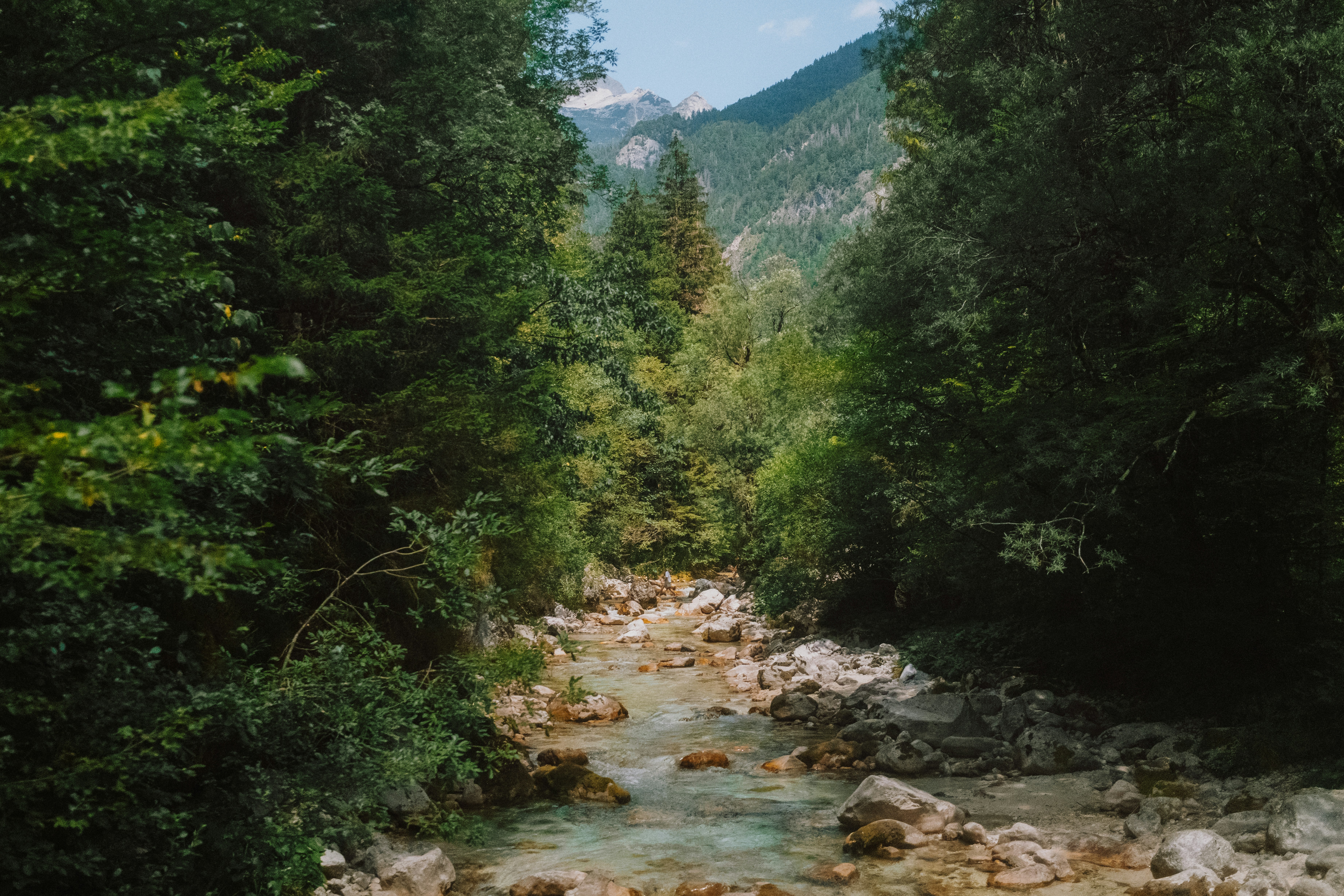 A shallow rocky stream flowing through a dense forest toward distant mountains