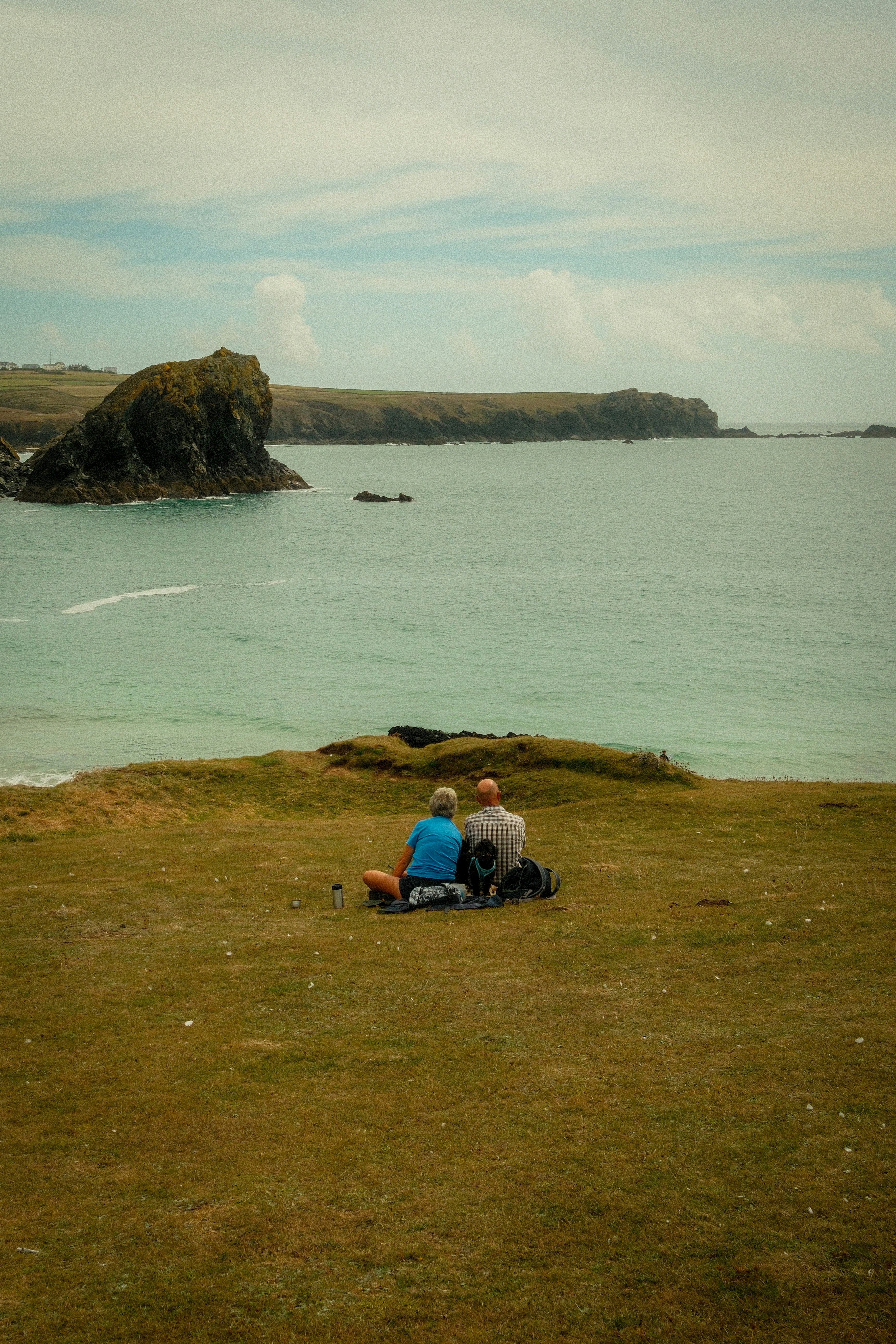 Two adults and a small dog on a grassy cliff overlooking the ocean