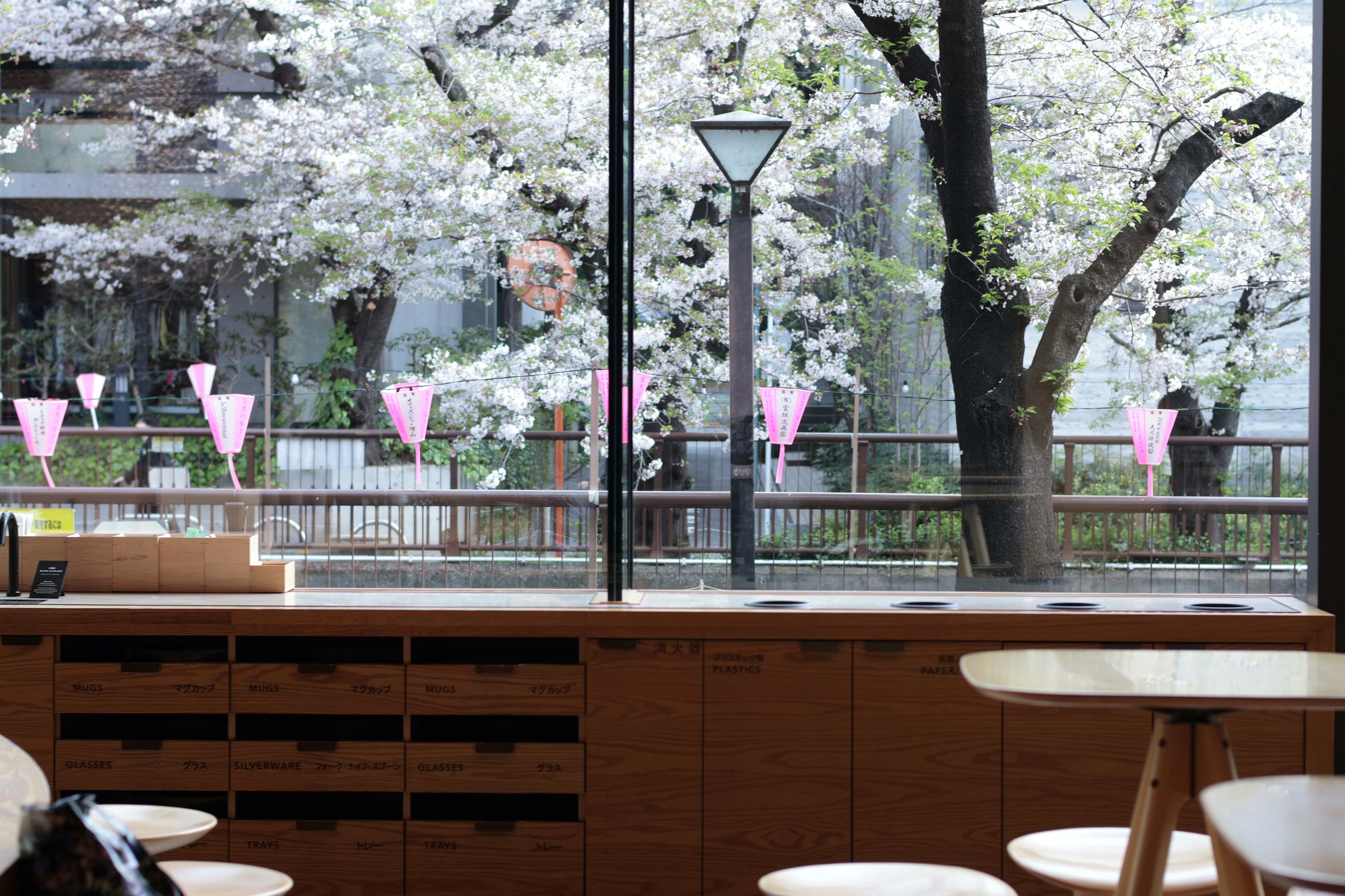 Japanese hotel room with cherry blossom view — 4-star accommodation Japan sakura tour Safari Sutra