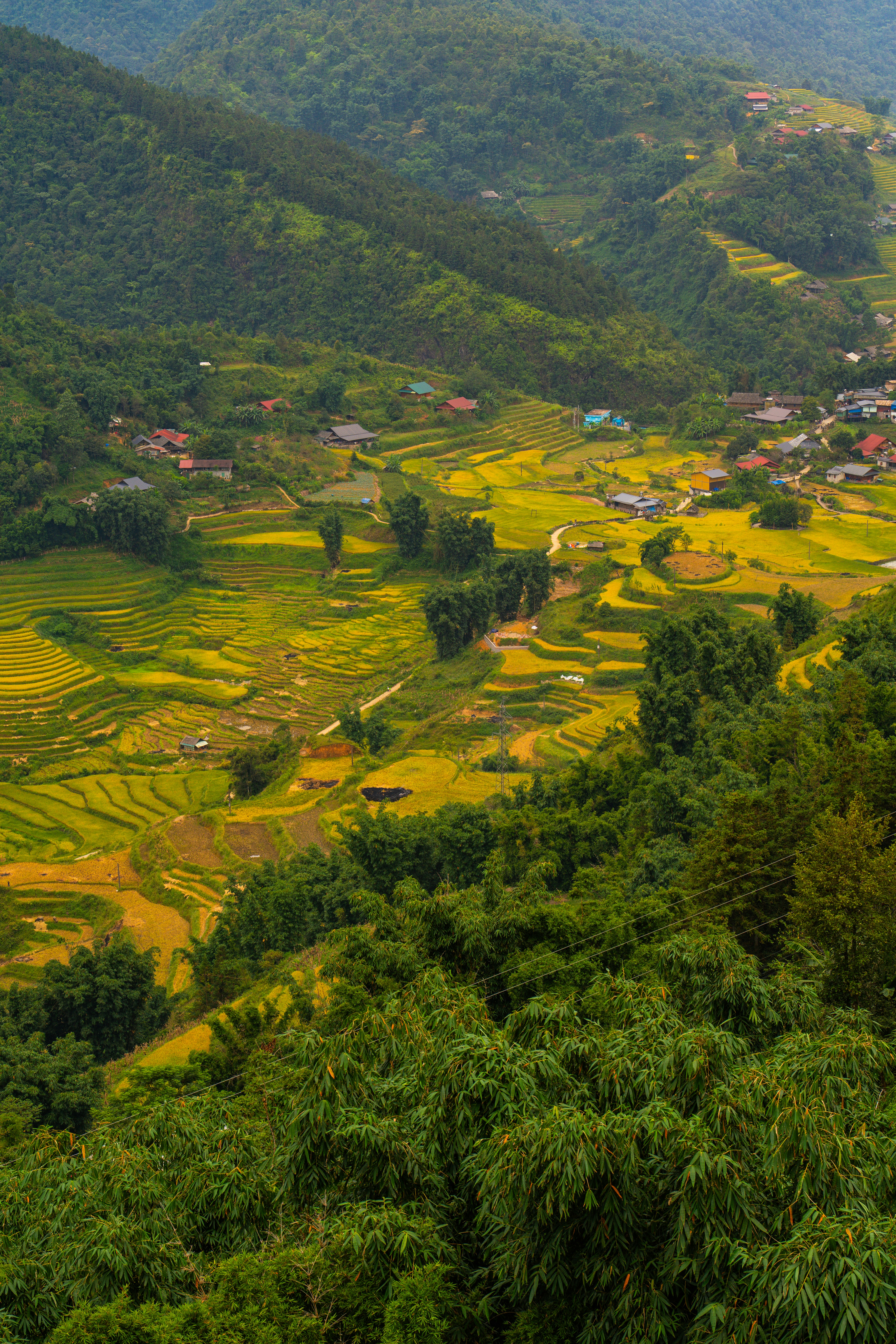 Budget (Under 400,000 VND / USD 16 per night)