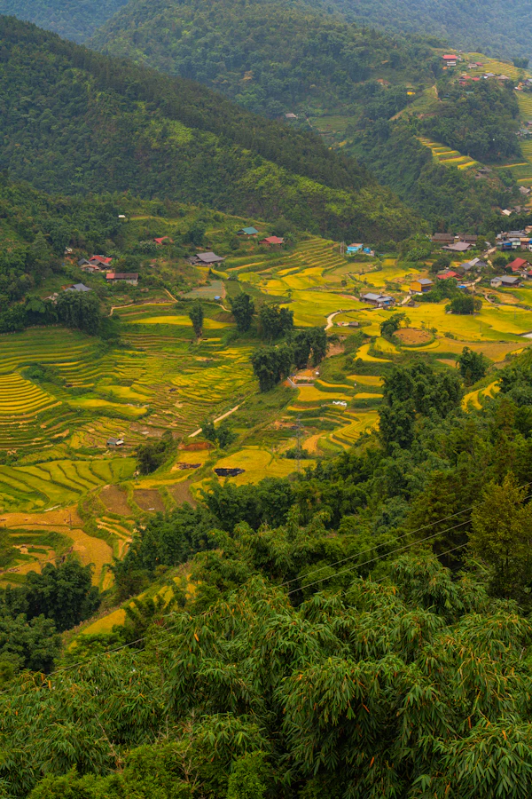 Sa Pa