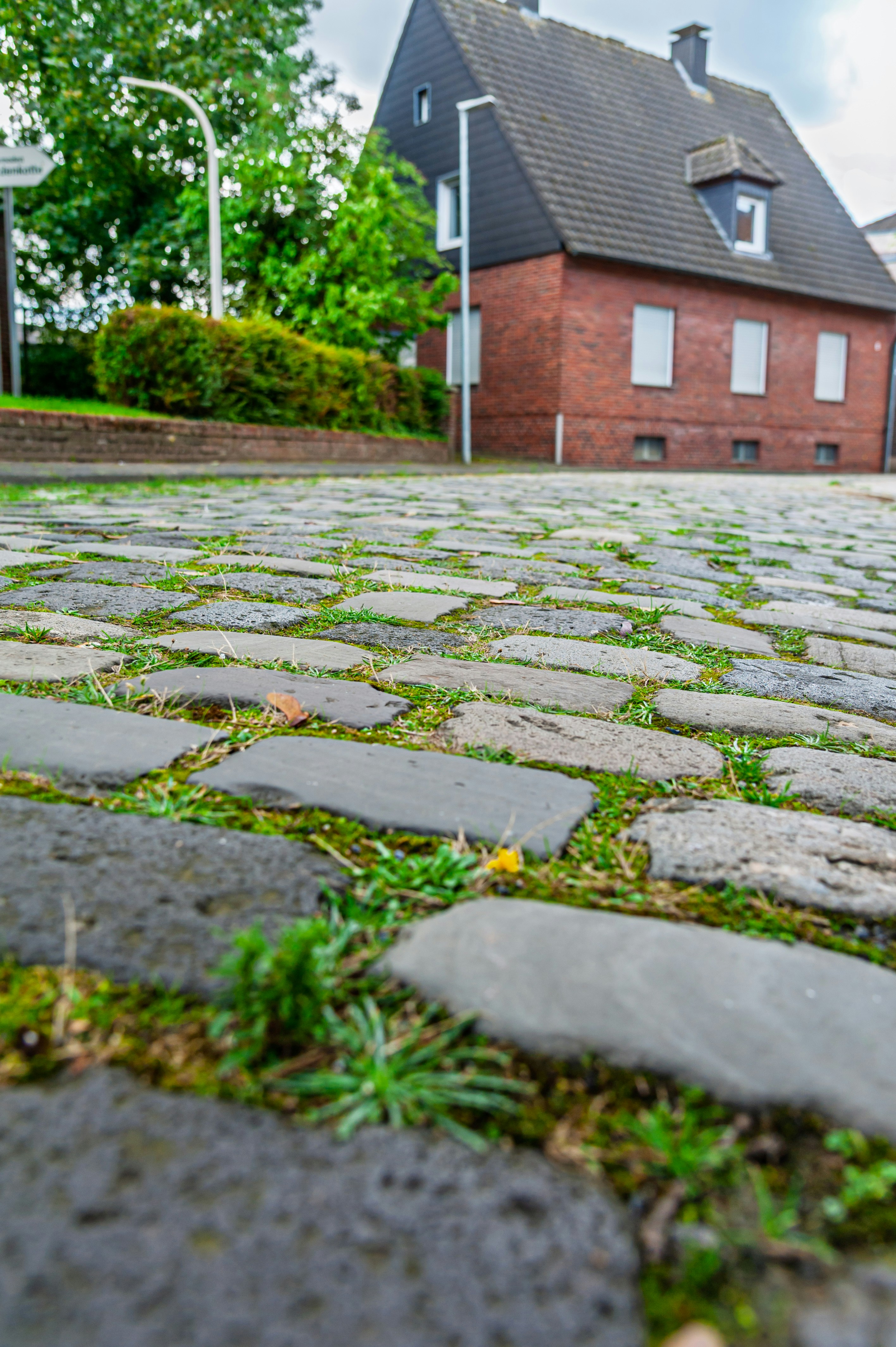 Cobblestone street with grass growing between stones in front of a brick house
