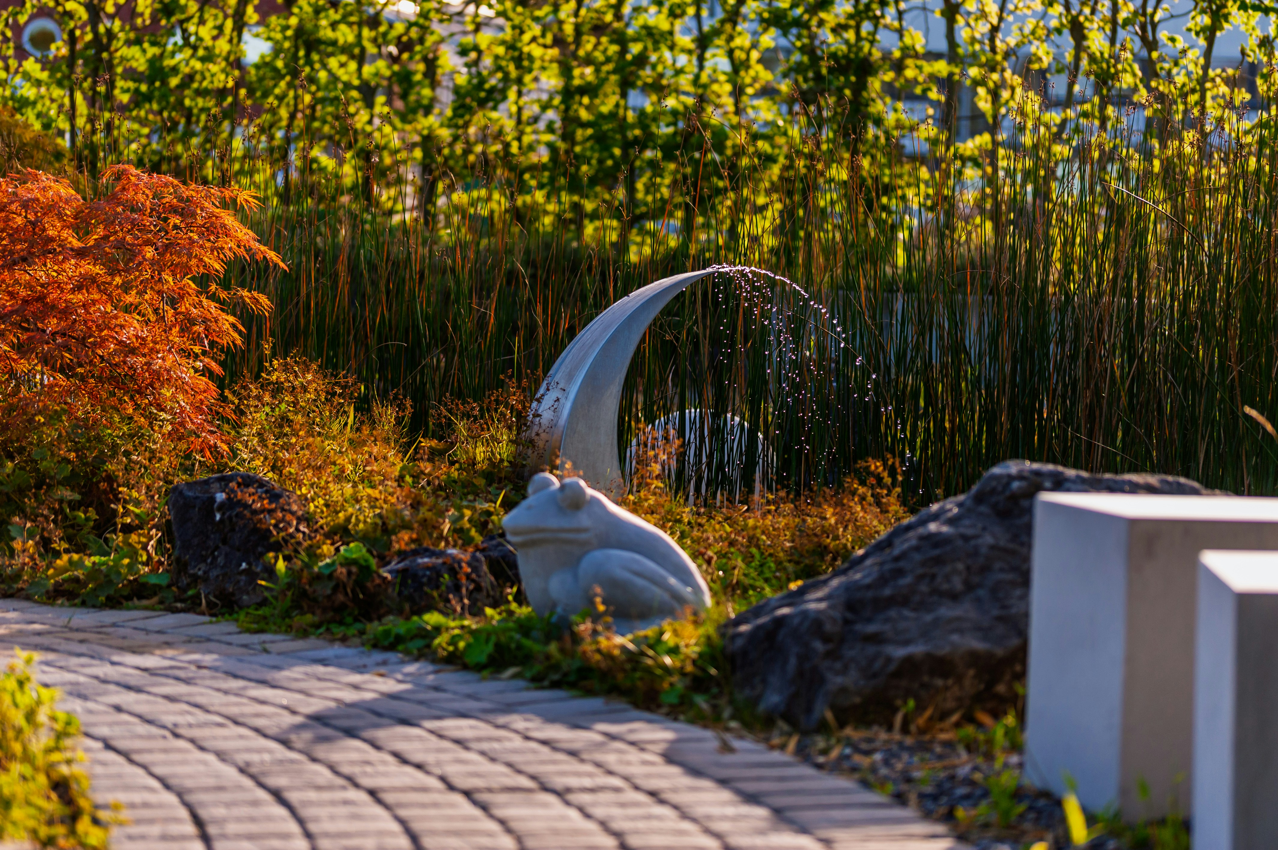 A stone frog statue beside a small water fountain in a garden