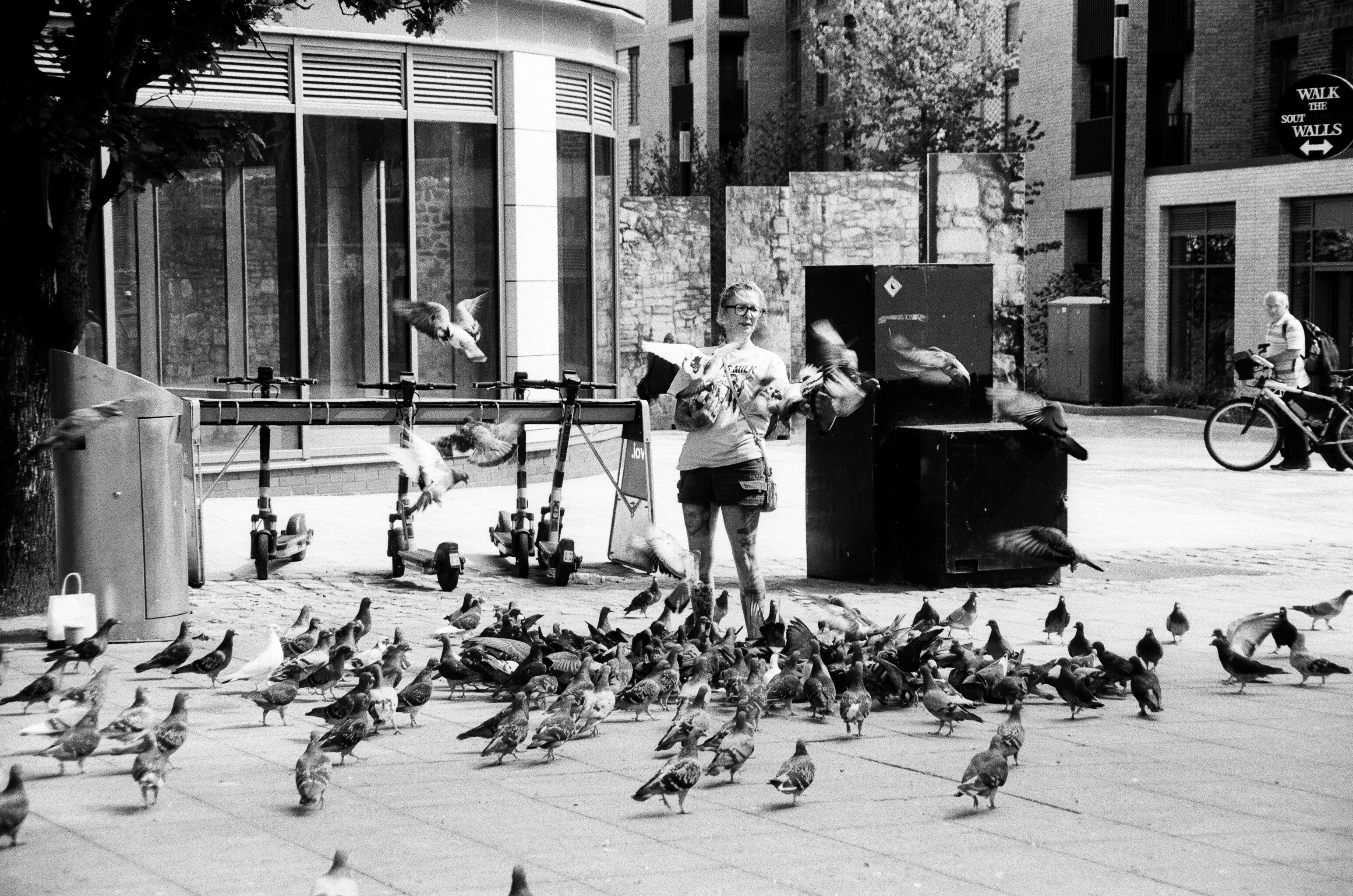 A person feeding a large flock of pigeons in a city square