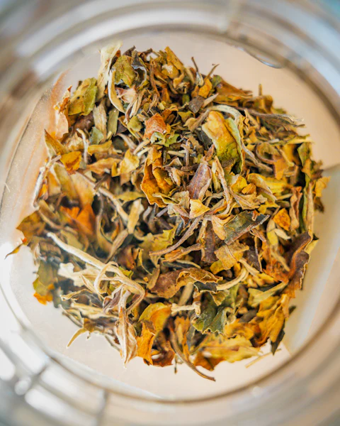 Dried white tea leaves