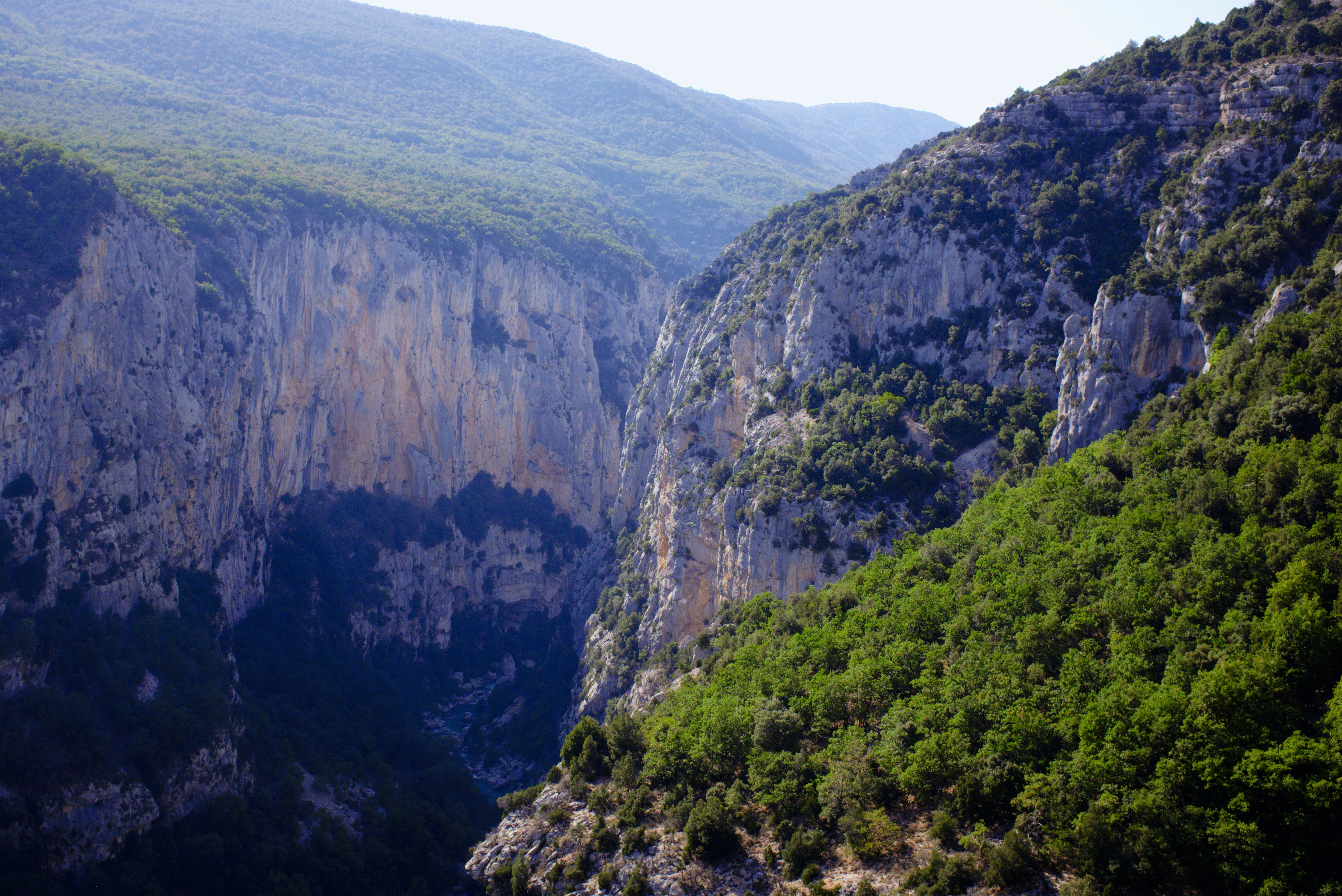 Un profondo canyon calcareo con ripide scogliere e fitta foresta verde