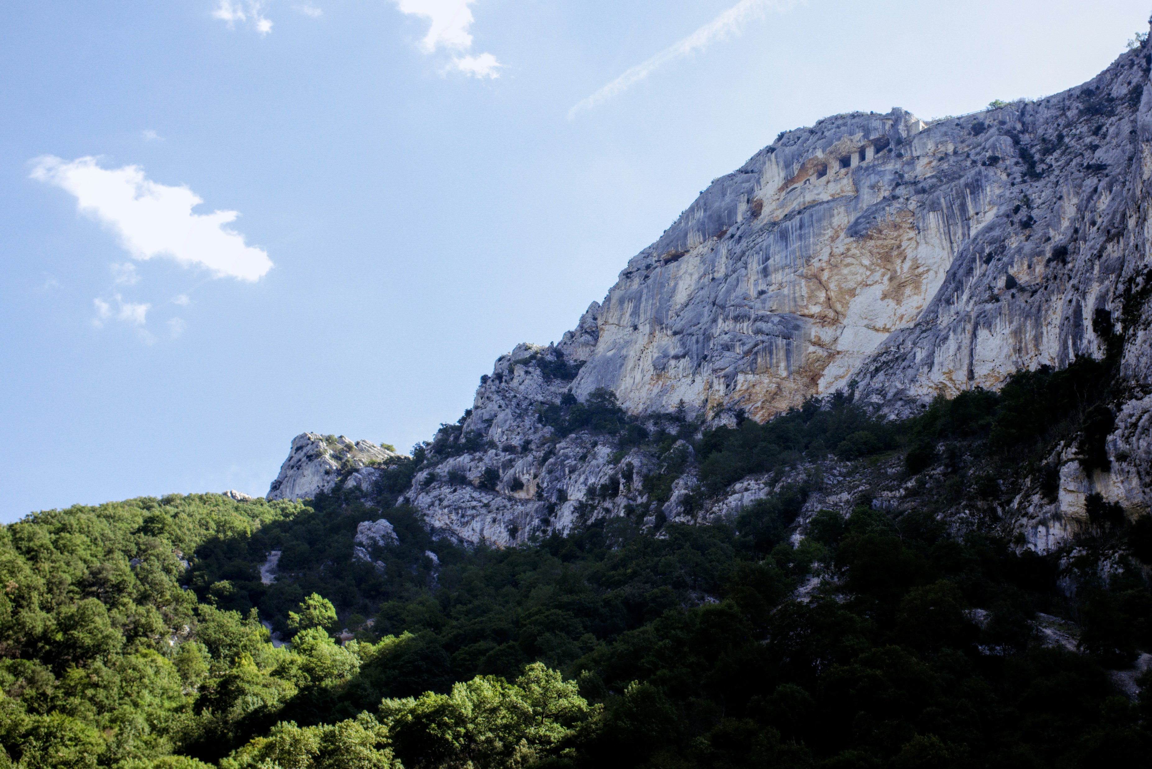 Una ripida parete di roccia calcarea che si erge sopra una fitta foresta verde sotto un cielo azzurro
