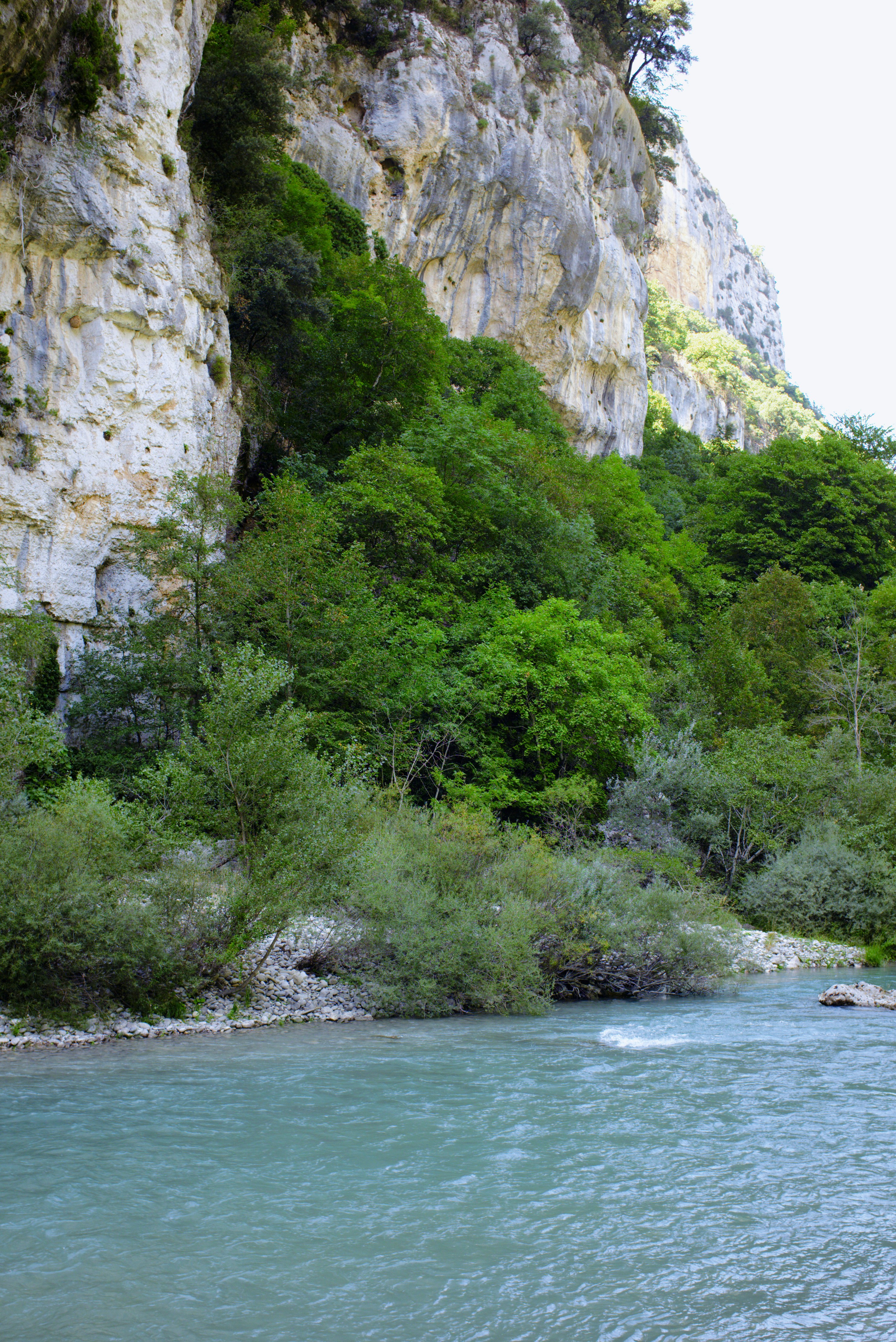 Un fiume turchese che scorre accanto a una rigogliosa foresta verde e a un'alta scogliera calcarea