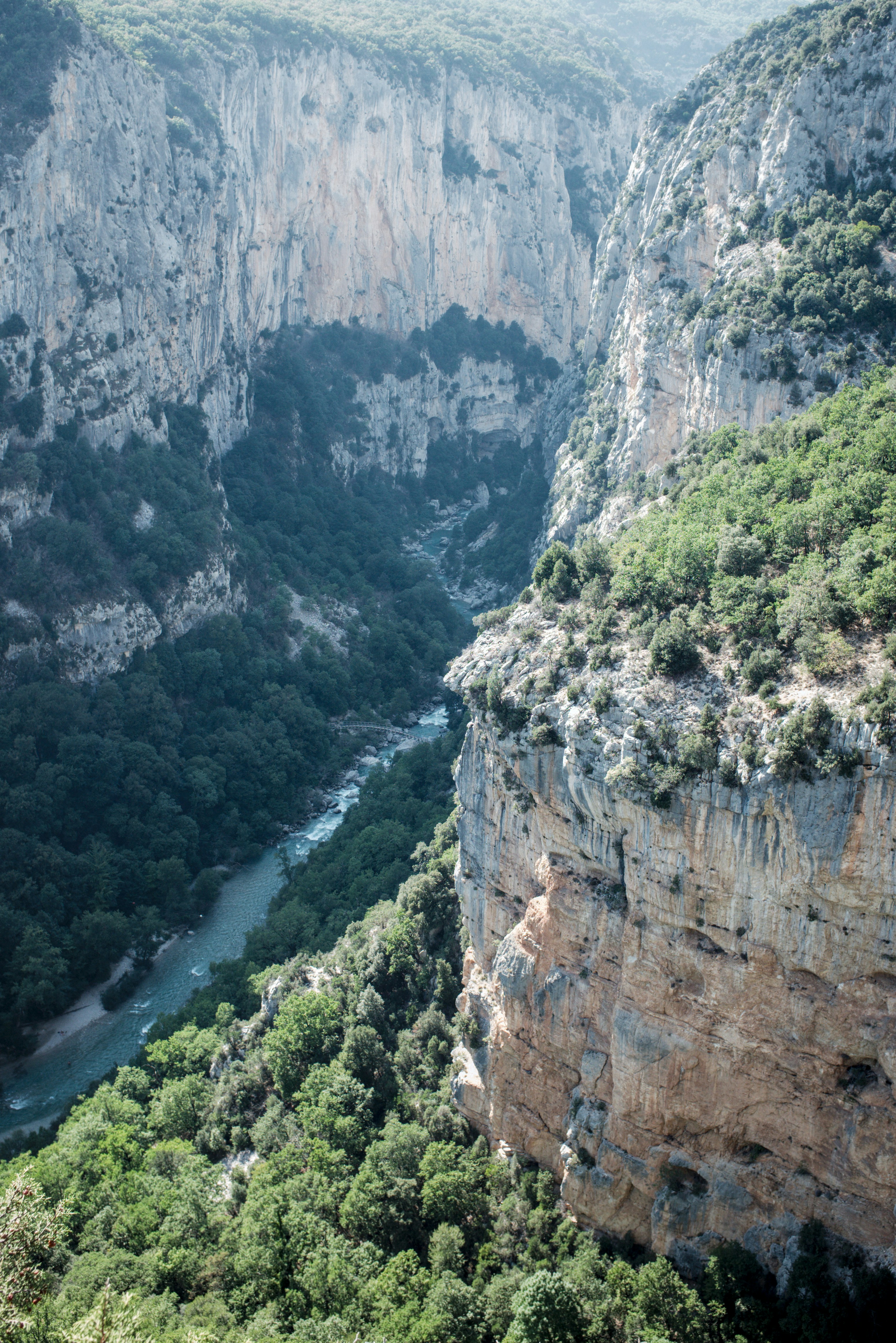 Un fiume che scorre attraverso il profondo canyon calcareo delle Gole du Verdon
