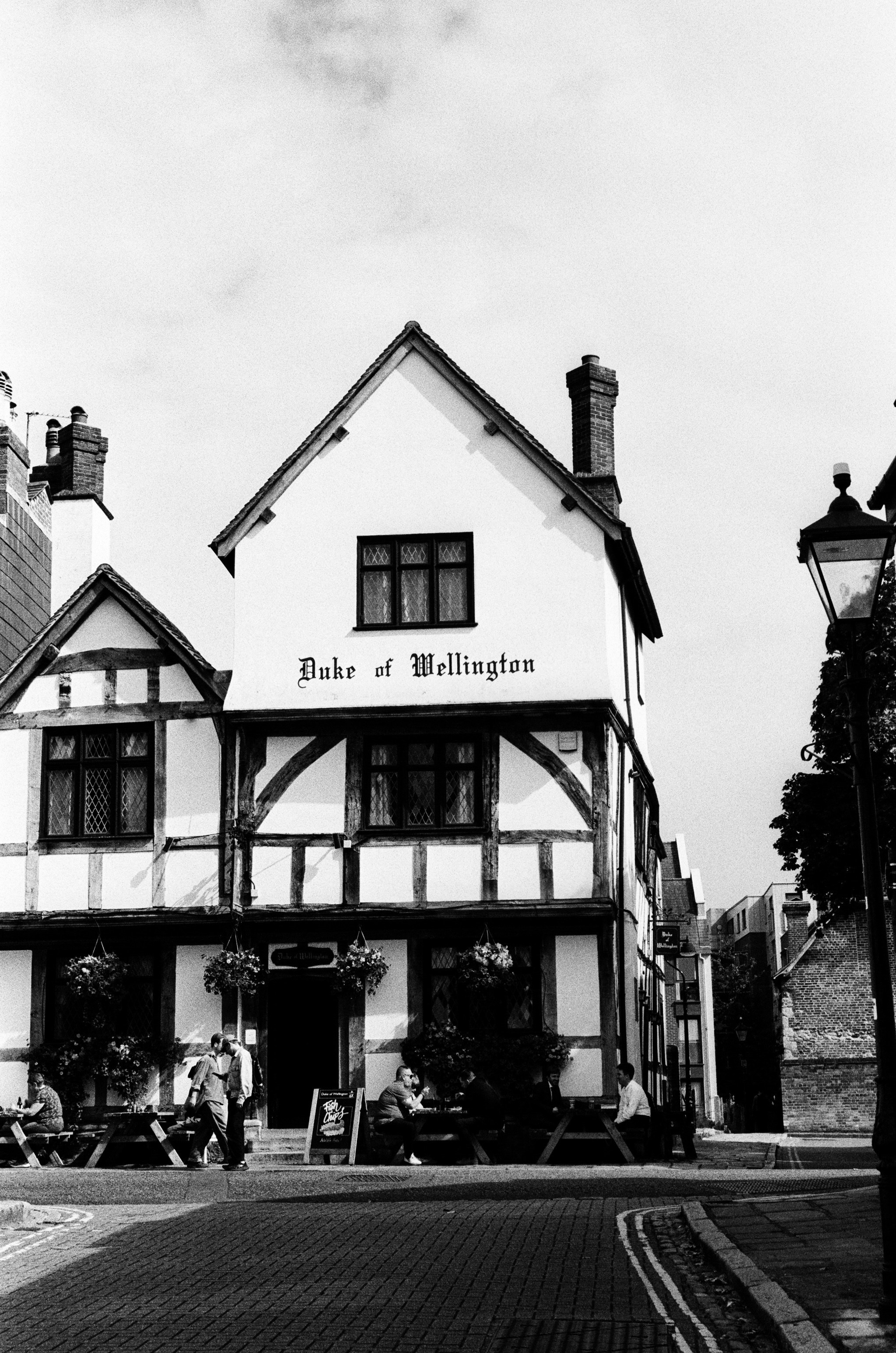 wellington image