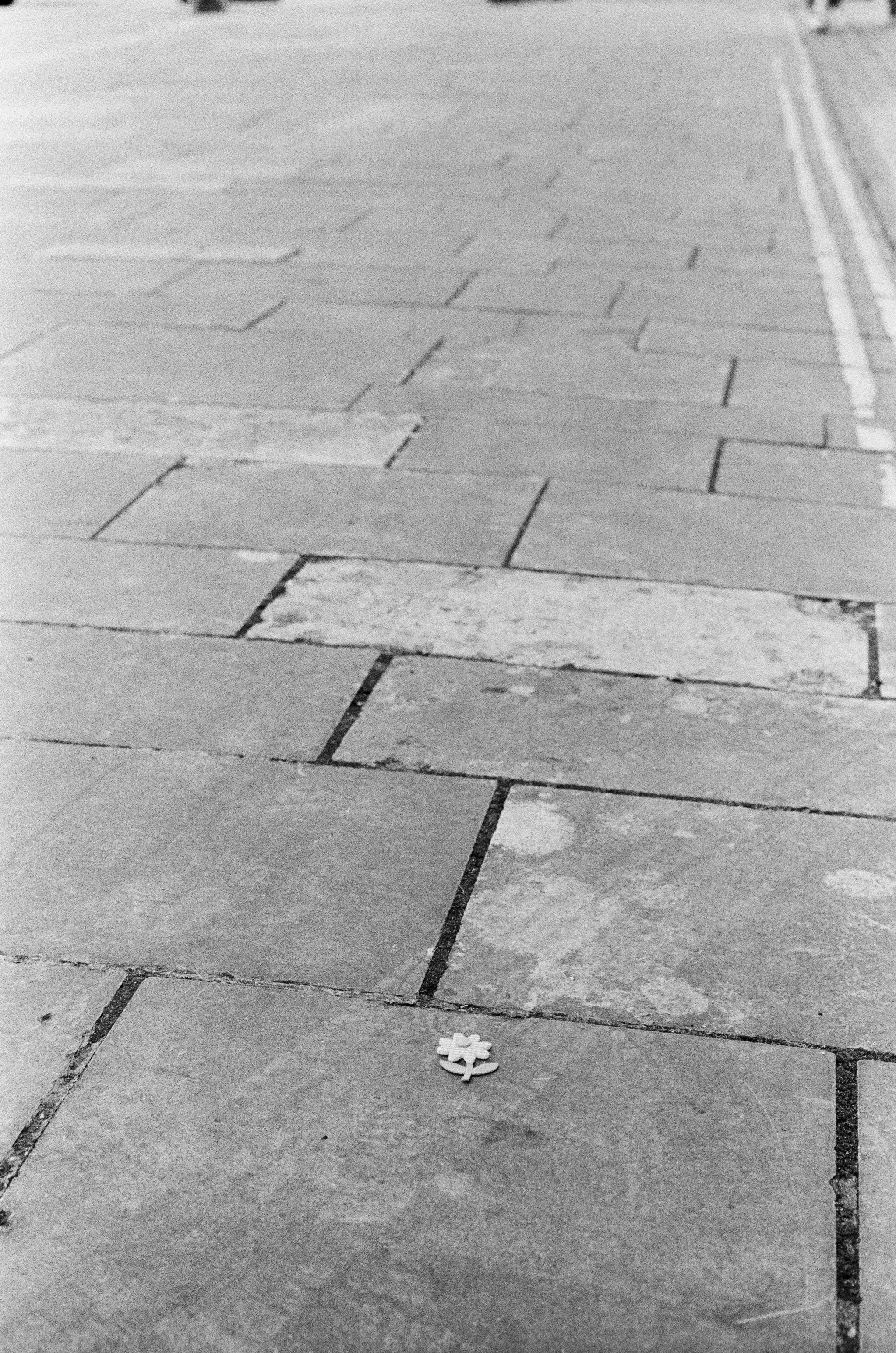 A small white flower sticker on a grey stone paved sidewalk