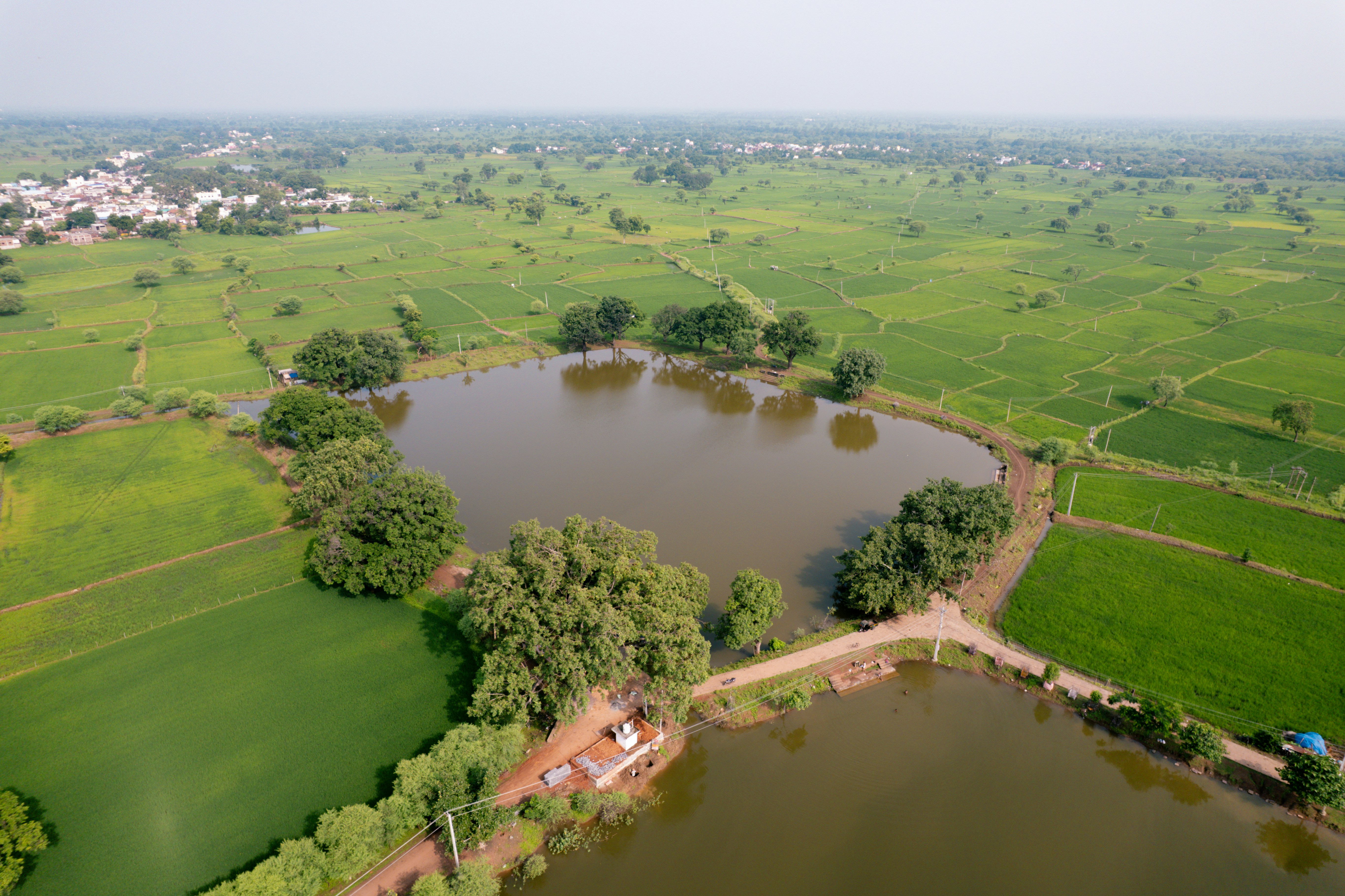 Aerial view of a pond surrounded by green fields and trees in rural India