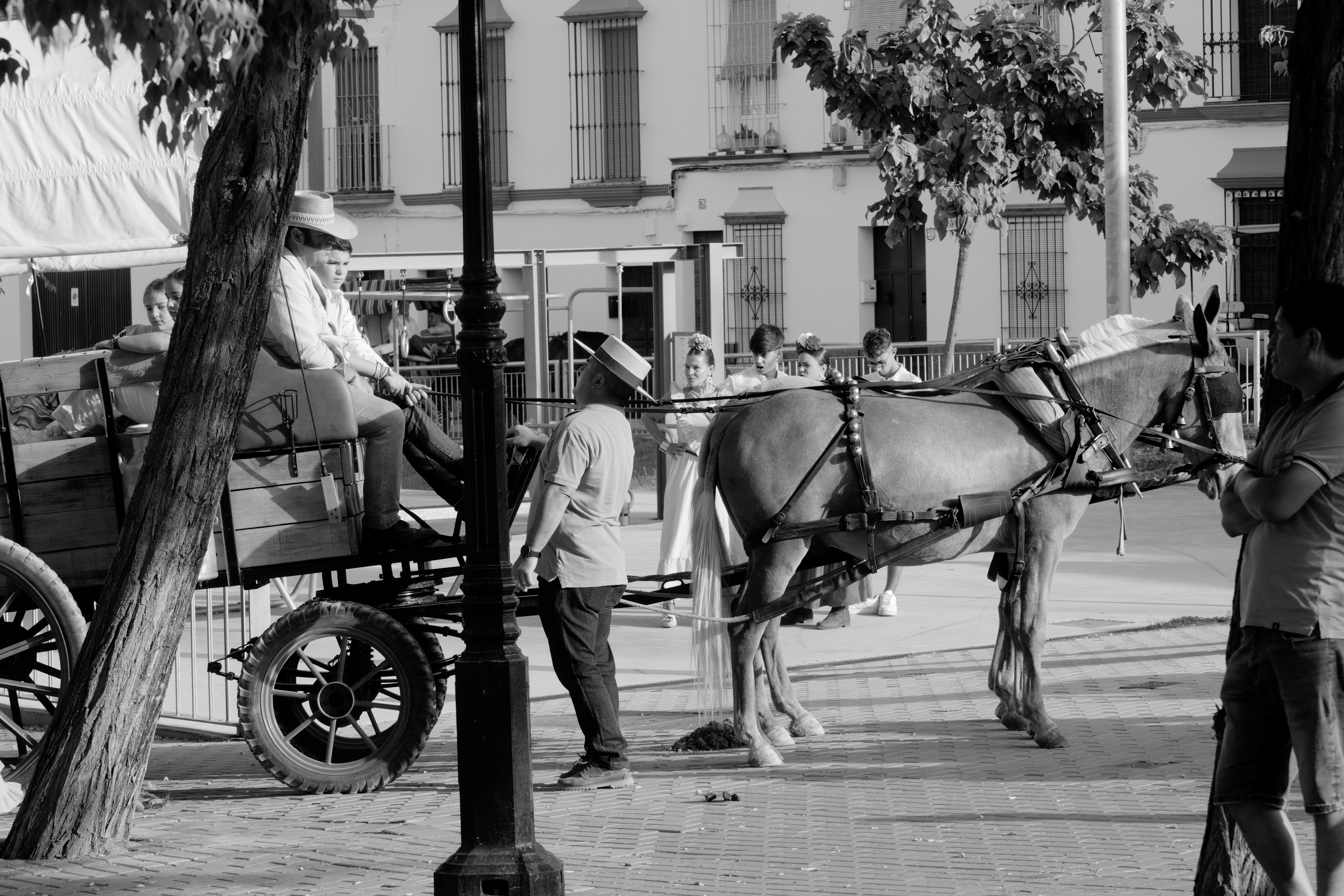 A horse pulling a carriage with people in a sunlit town square