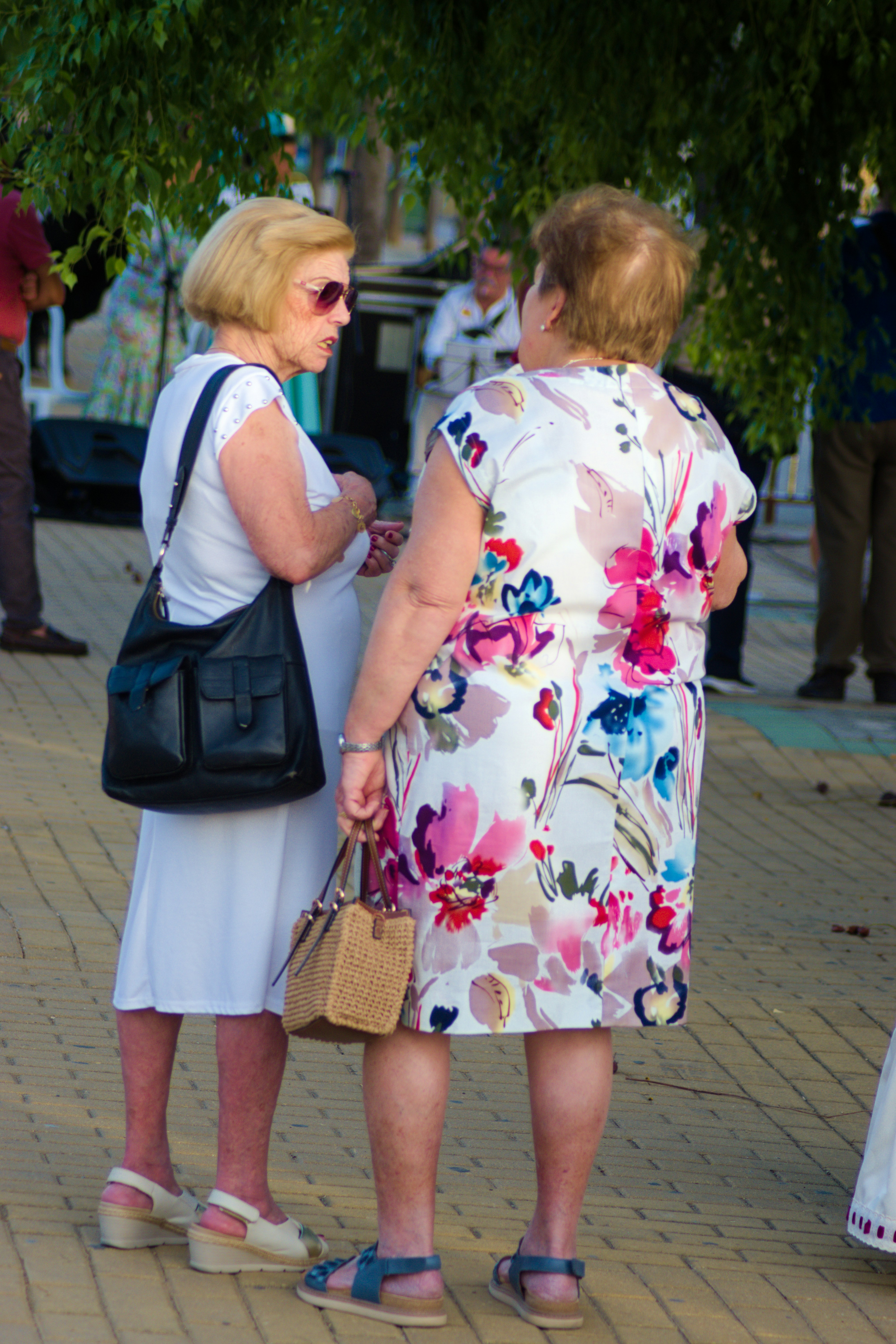 Two women in summer dresses standing on a paved path under a tree